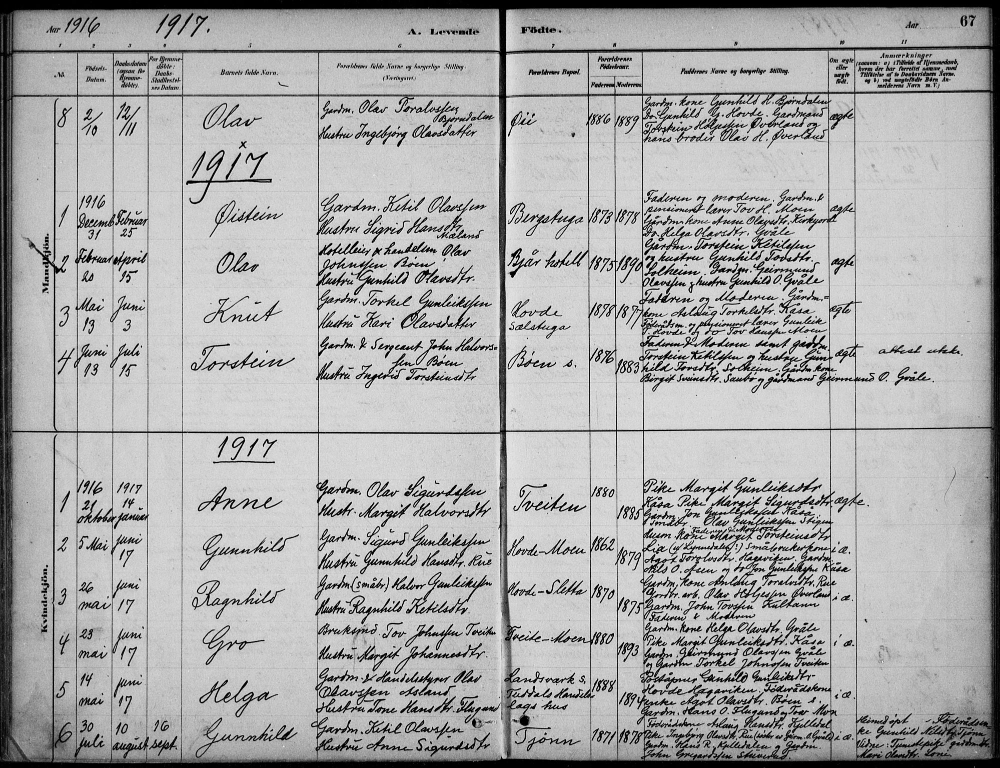 Hjartdal kirkebøker, AV/SAKO-A-270/F/Fc/L0002: Parish register (official) no. III 2, 1880-1936, p. 67