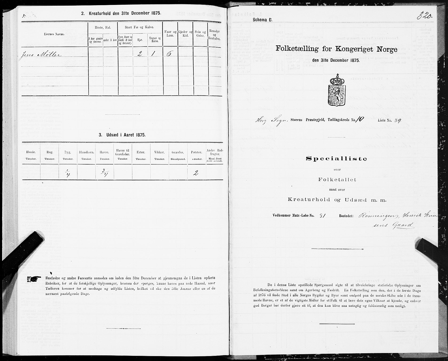 SAT, 1875 census for 1648P Støren, 1875, p. 5320