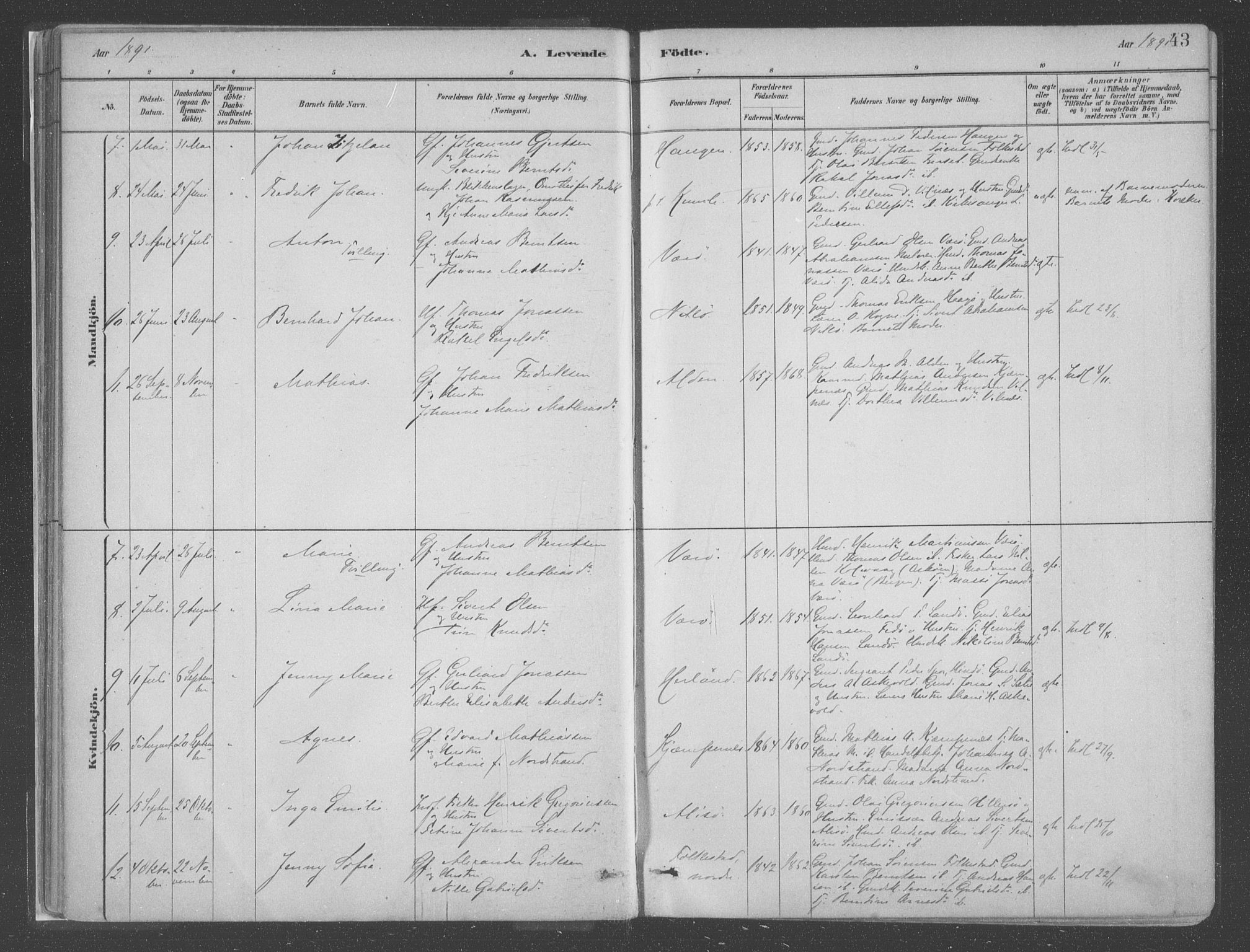 Askvoll sokneprestembete, SAB/A-79501/H/Haa/Haac/L0001: Parish register (official) no. C  1, 1879-1922, p. 43