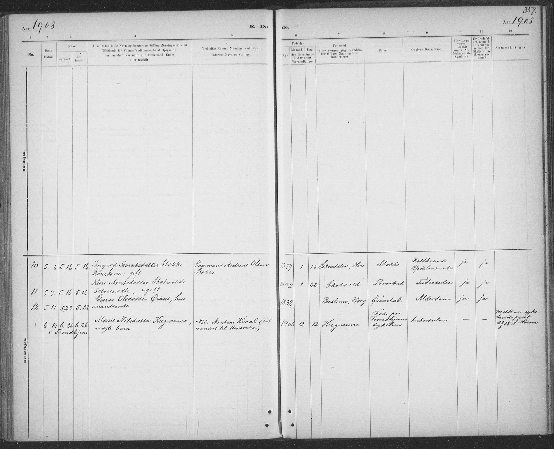 Ministerialprotokoller, klokkerbøker og fødselsregistre - Sør-Trøndelag, SAT/A-1456/691/L1085: Parish register (official) no. 691A17, 1887-1908, p. 357