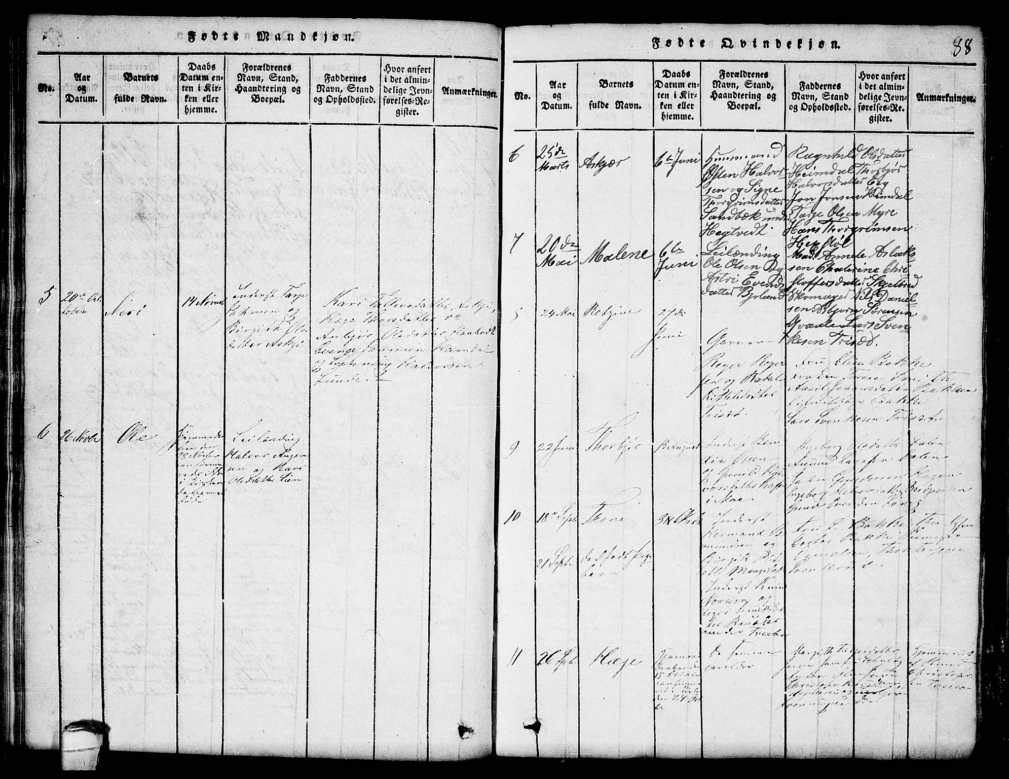 Lårdal kirkebøker, SAKO/A-284/G/Ga/L0001: Parish register (copy) no. I 1, 1815-1861, p. 88