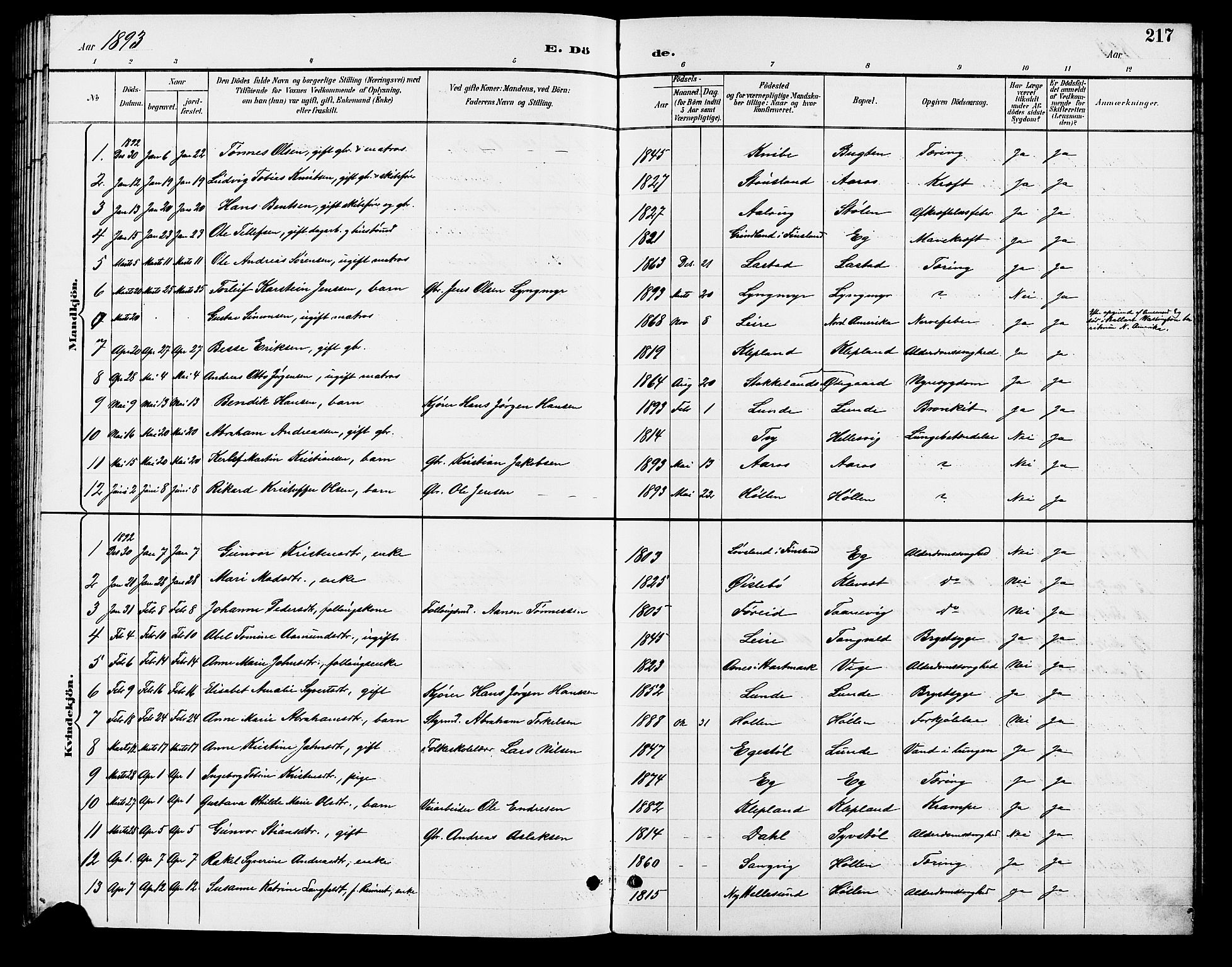 Søgne sokneprestkontor, SAK/1111-0037/F/Fb/Fbb/L0006: Parish register (copy) no. B 6, 1892-1911, p. 217