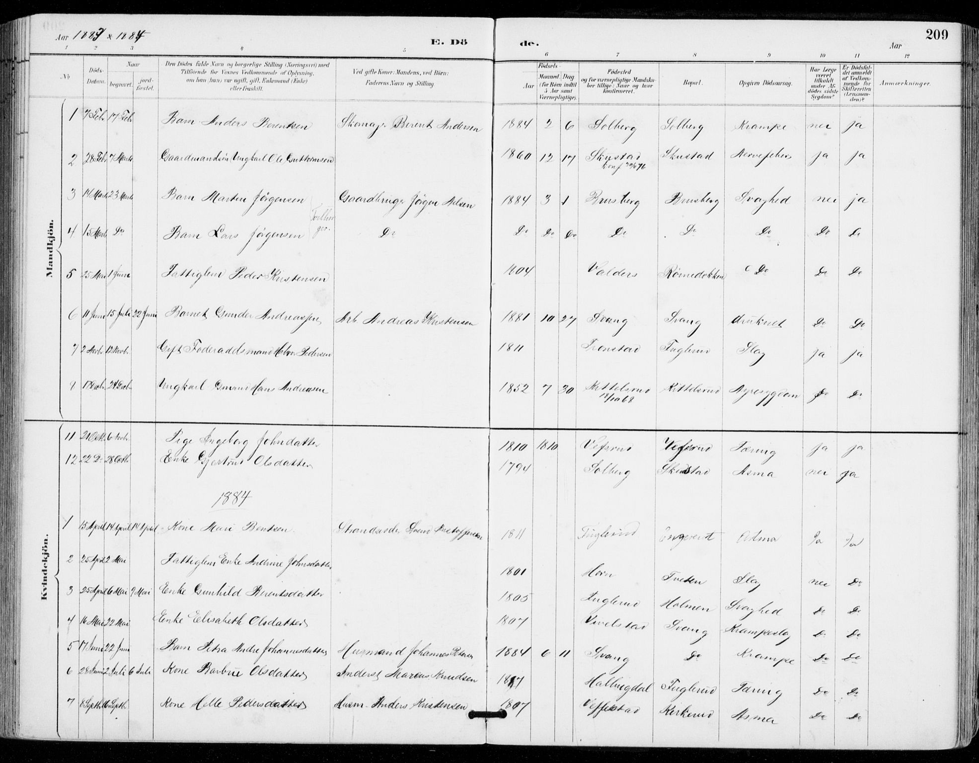 Sylling kirkebøker, SAKO/A-247/F/Fa/L0001: Parish register (official) no. 1, 1883-1910, p. 209