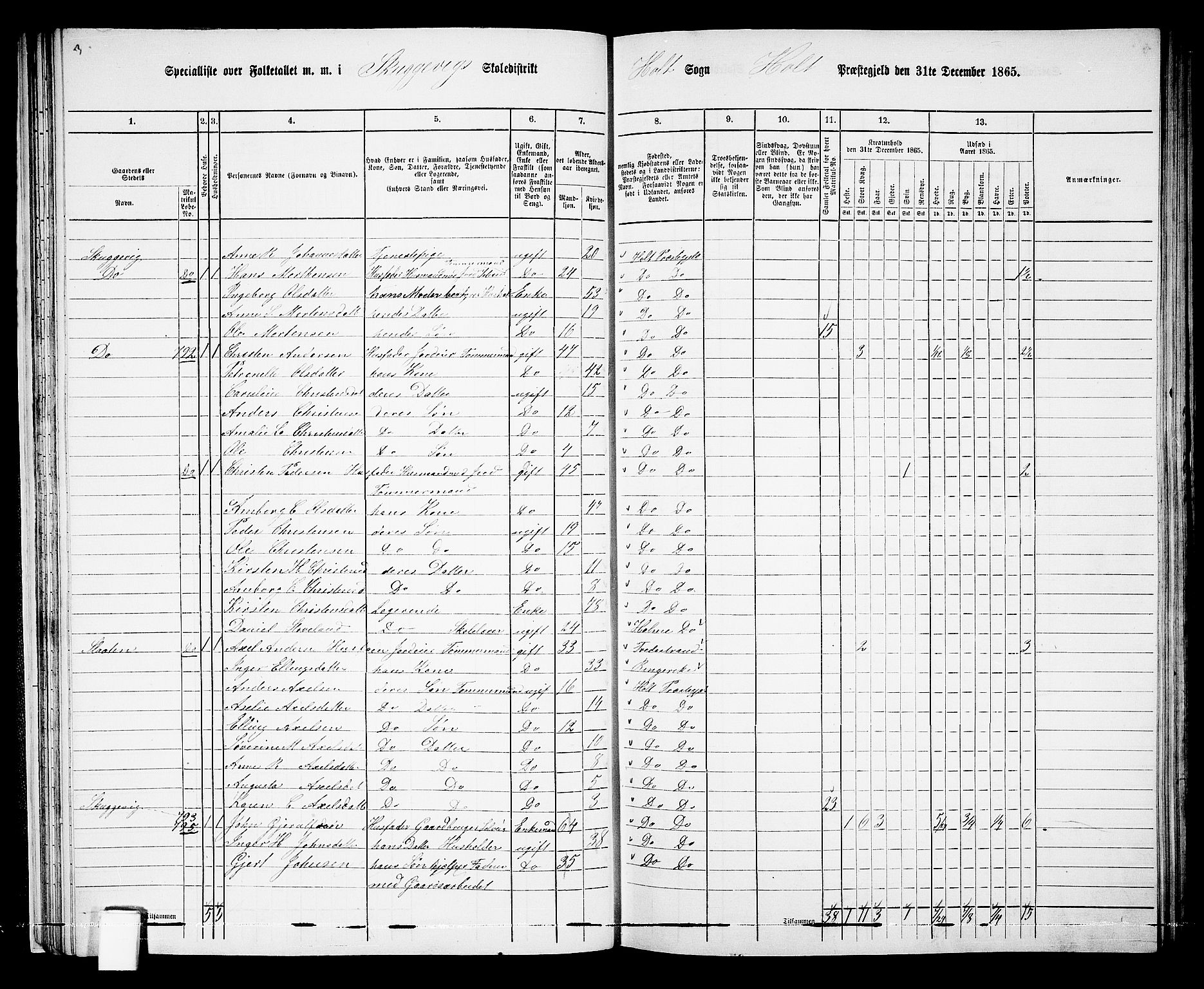 RA, 1865 census for Holt/Holt, 1865, p. 31