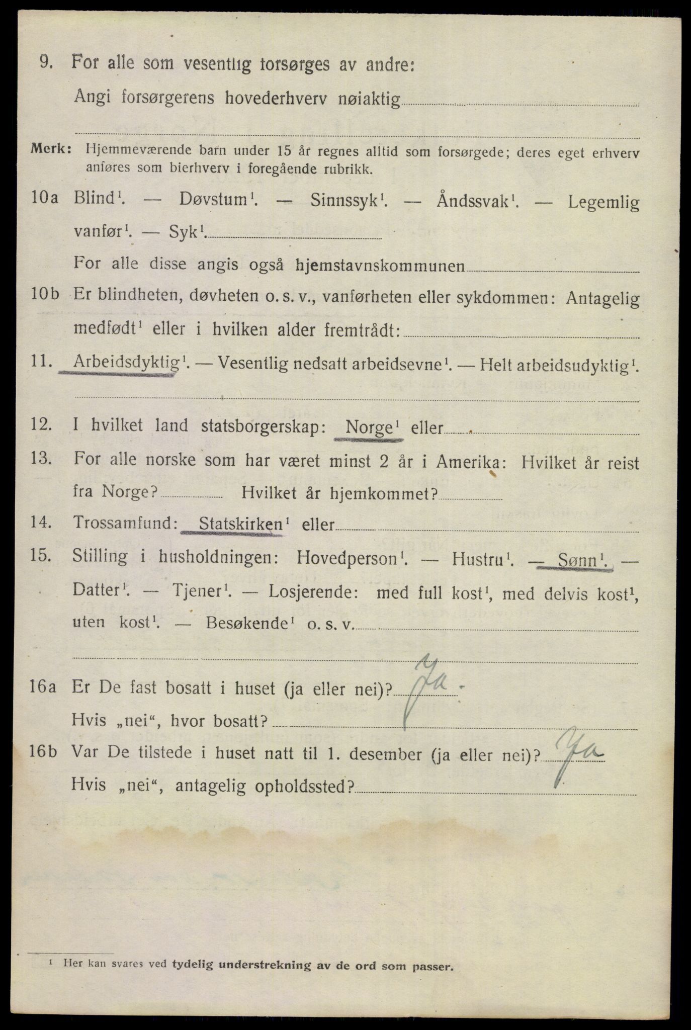 SAKO, 1920 census for Nes (Buskerud), 1920, p. 4319