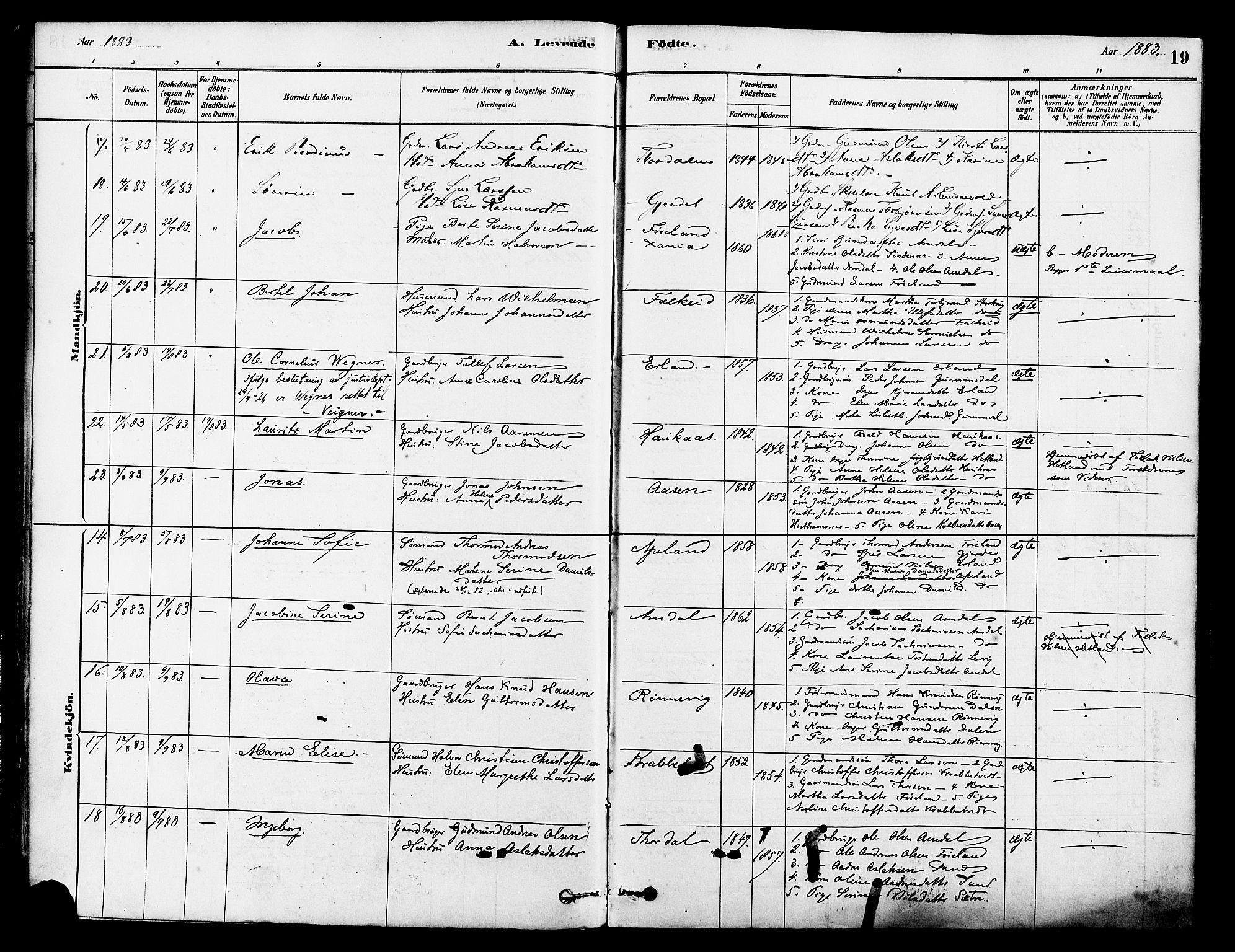 Tysvær sokneprestkontor, AV/SAST-A -101864/H/Ha/Haa/L0006: Parish register (official) no. A 6, 1878-1896, p. 19