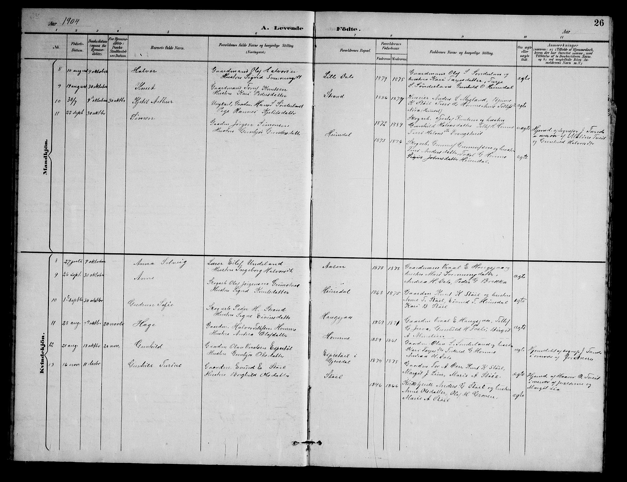 Nissedal kirkebøker, AV/SAKO-A-288/G/Gb/L0003: Parish register (copy) no. II 3, 1893-1928, p. 26