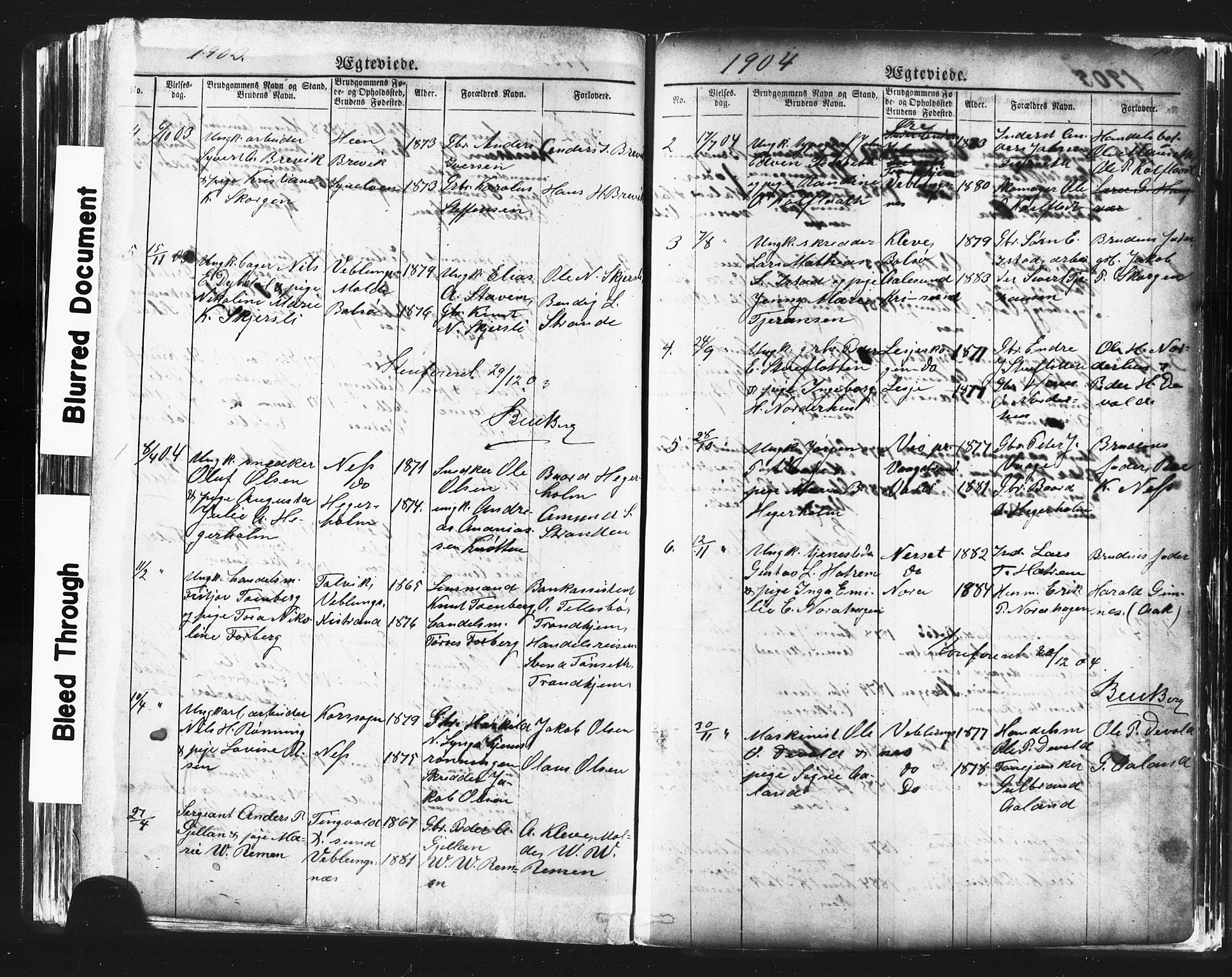 Ministerialprotokoller, klokkerbøker og fødselsregistre - Møre og Romsdal, AV/SAT-A-1454/544/L0580: Parish register (copy) no. 544C02, 1867-1909, p. 210