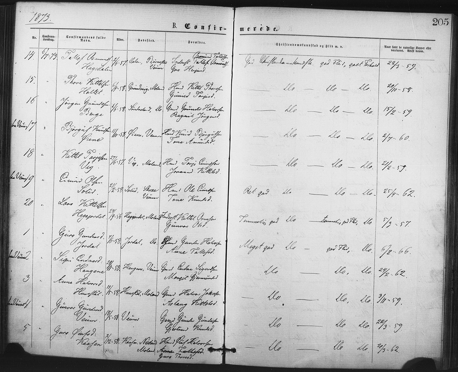 Fyresdal kirkebøker, SAKO/A-263/F/Fa/L0006: Parish register (official) no. I 6, 1872-1886, p. 205
