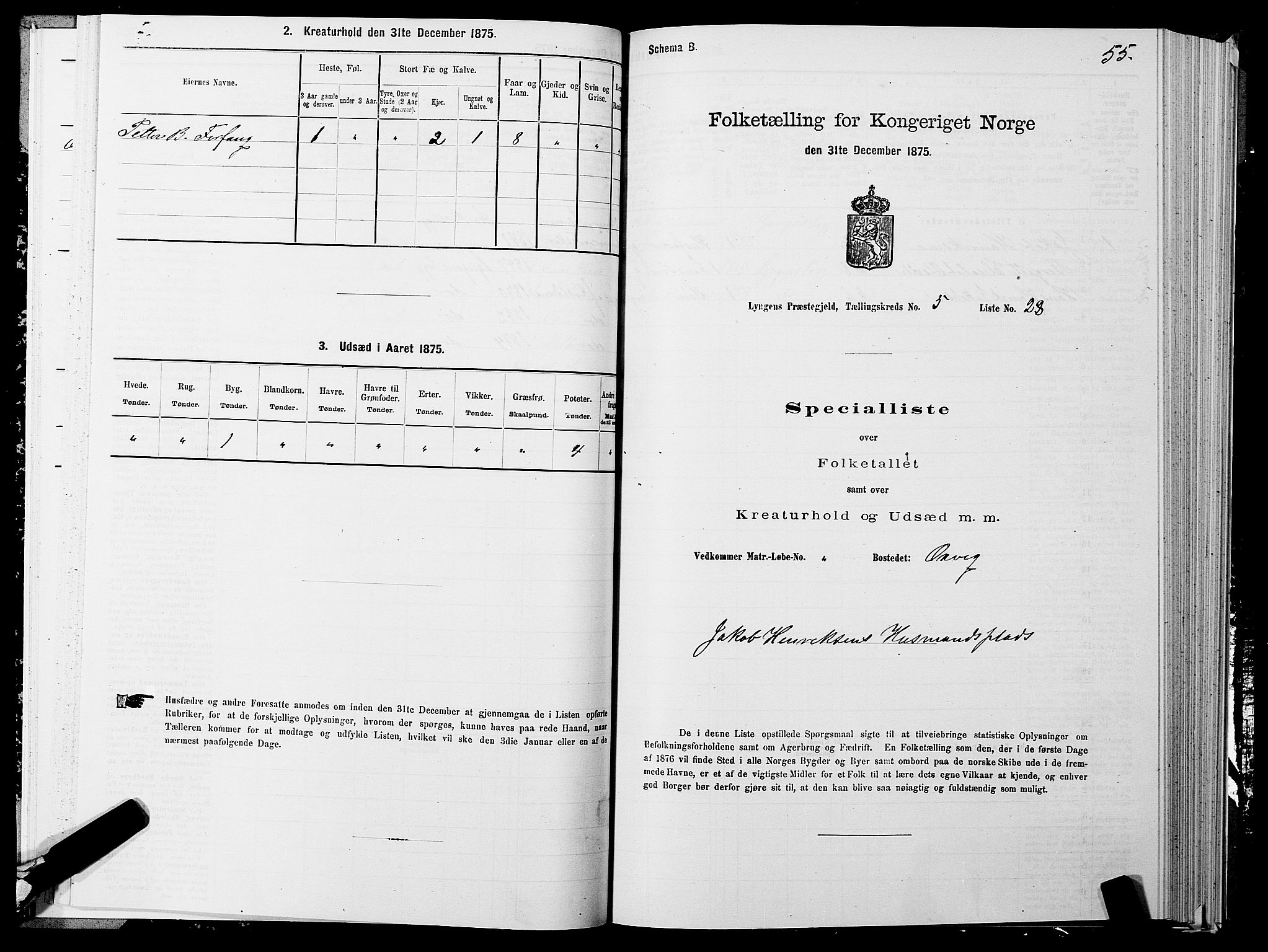 SATØ, 1875 census for 1938P Lyngen, 1875, p. 5055