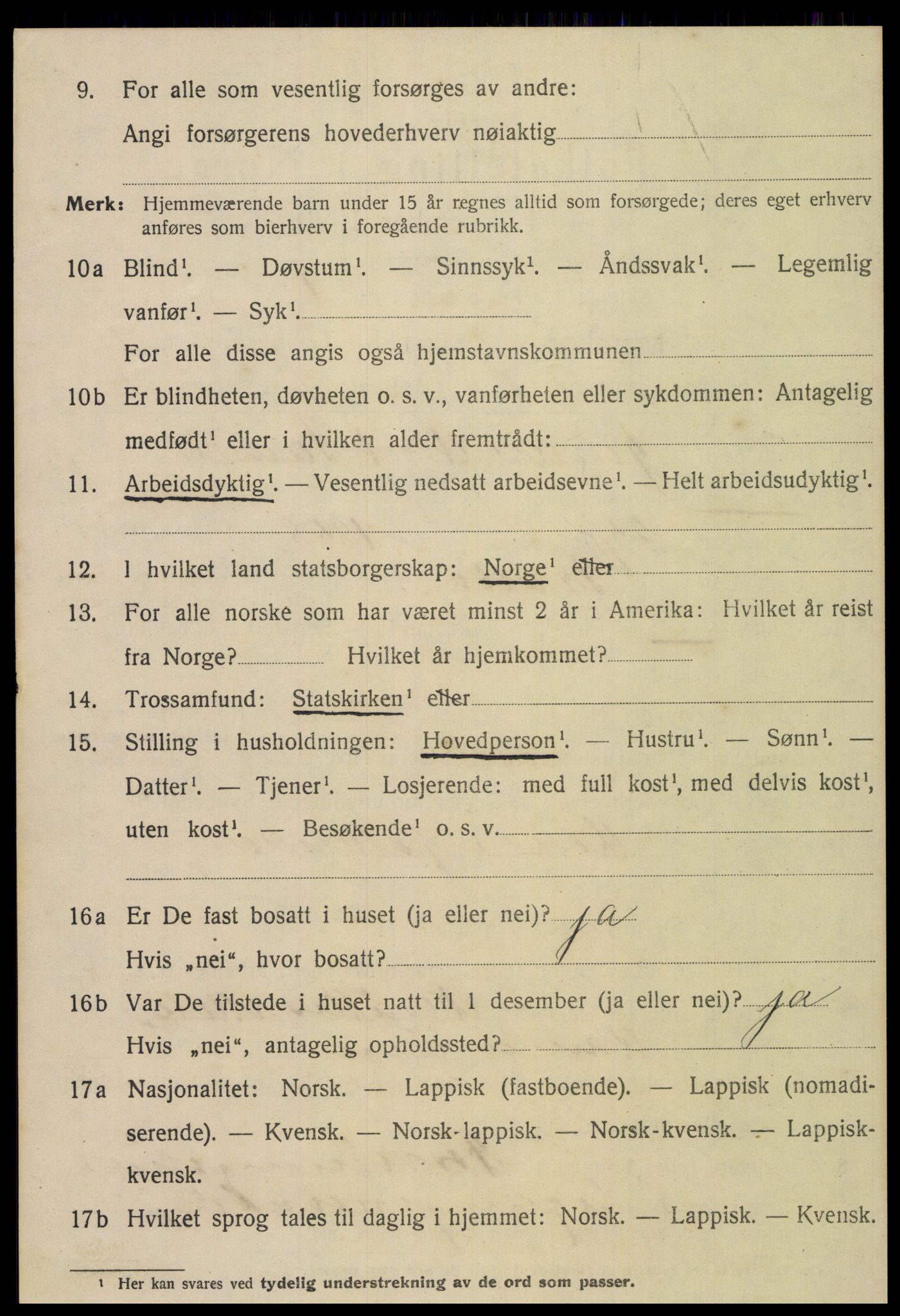 SAT, 1920 census for Meråker, 1920, p. 849