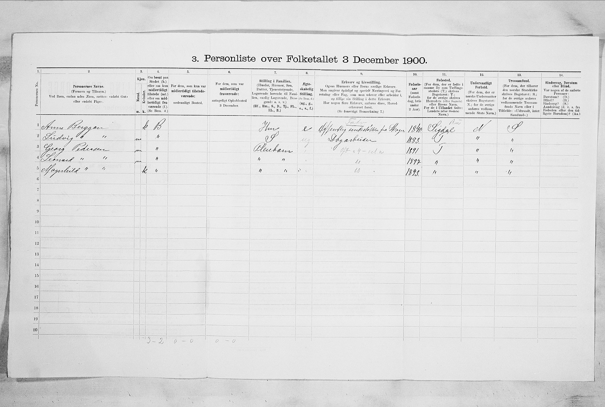 RA, 1900 census for Drammen, 1900, p. 1585