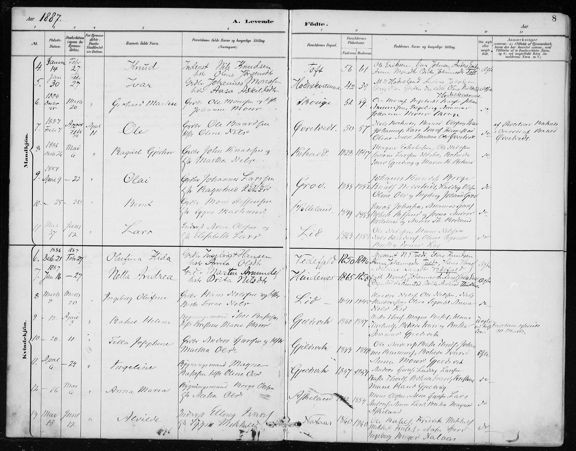 Lindås Sokneprestembete, AV/SAB-A-76701/H/Haa/Haaf/L0001: Parish register (official) no. F  1, 1886-1897, p. 8