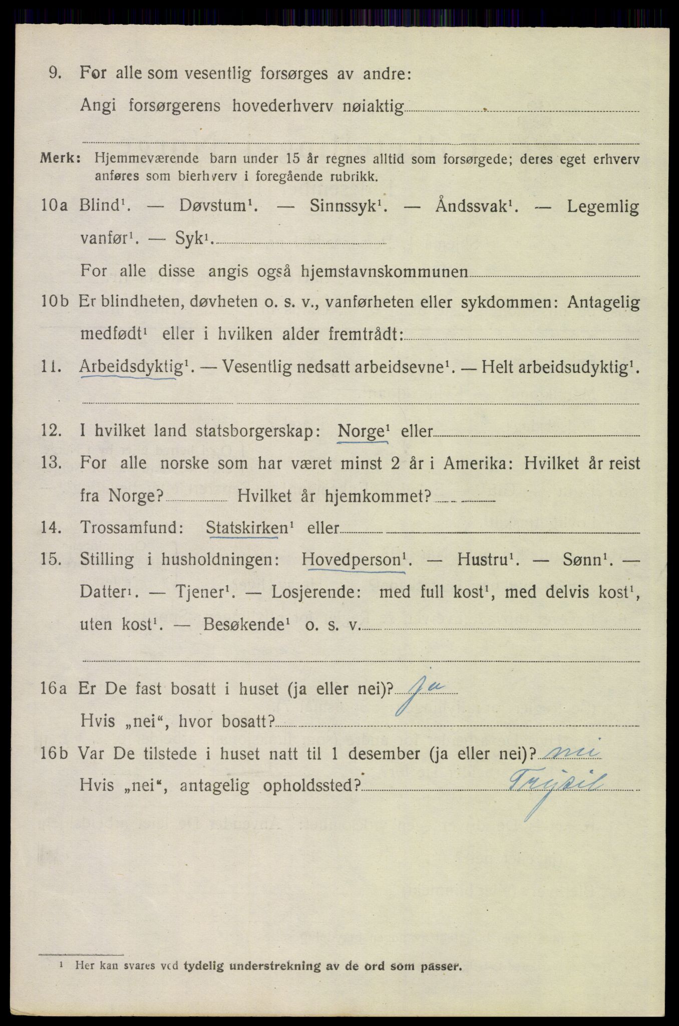 SAH, 1920 census for Trysil, 1920, p. 13016
