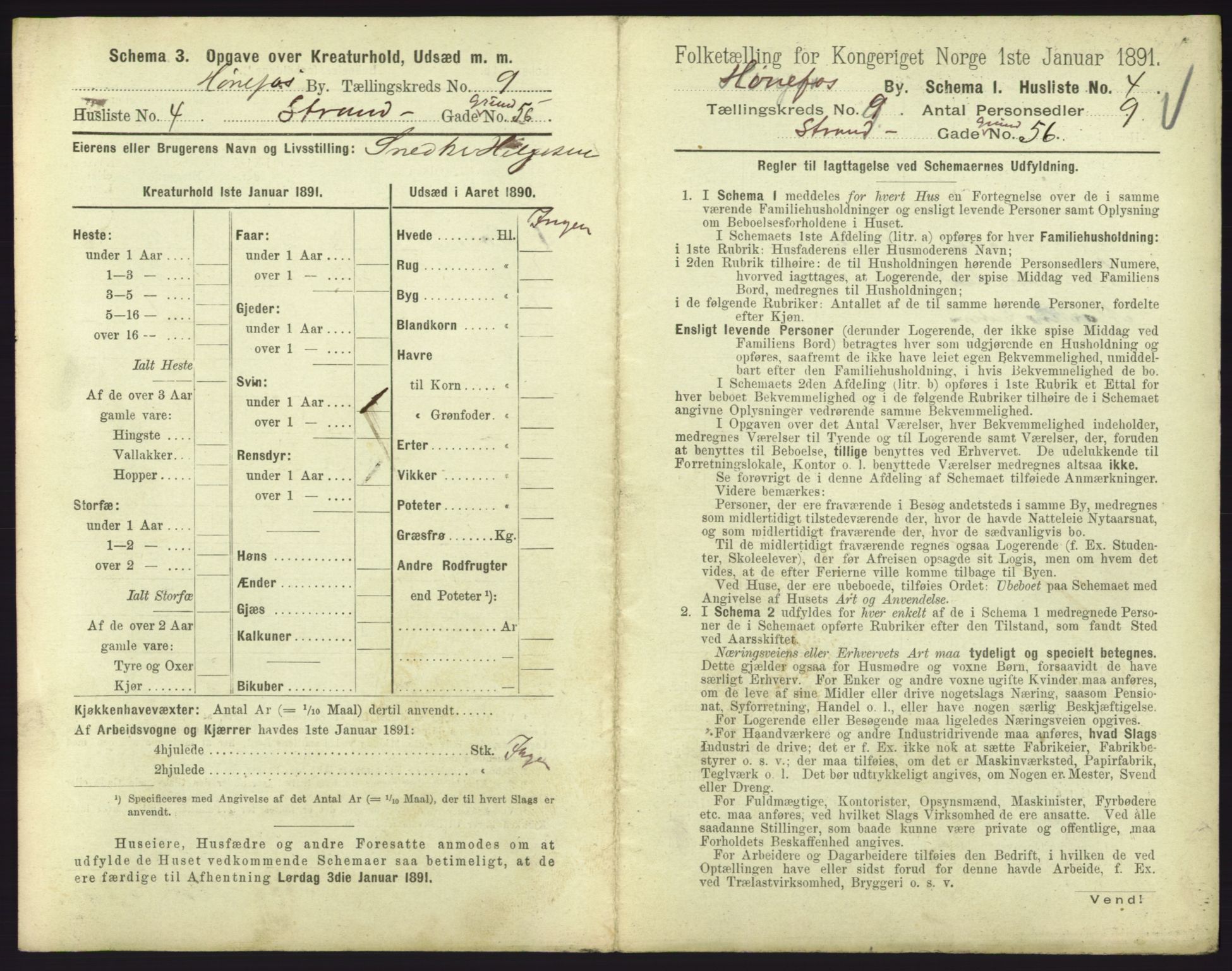 RA, 1891 census for 0601 Hønefoss, 1891, p. 225