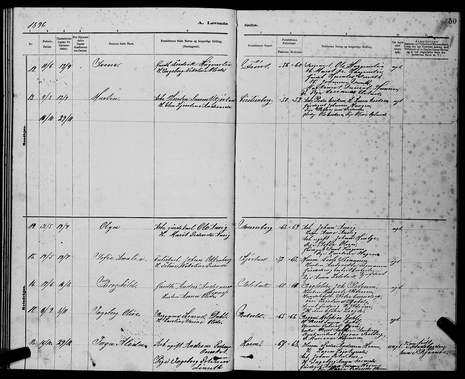 Ministerialprotokoller, klokkerbøker og fødselsregistre - Sør-Trøndelag, SAT/A-1456/611/L0354: Parish register (copy) no. 611C02, 1881-1896, p. 50