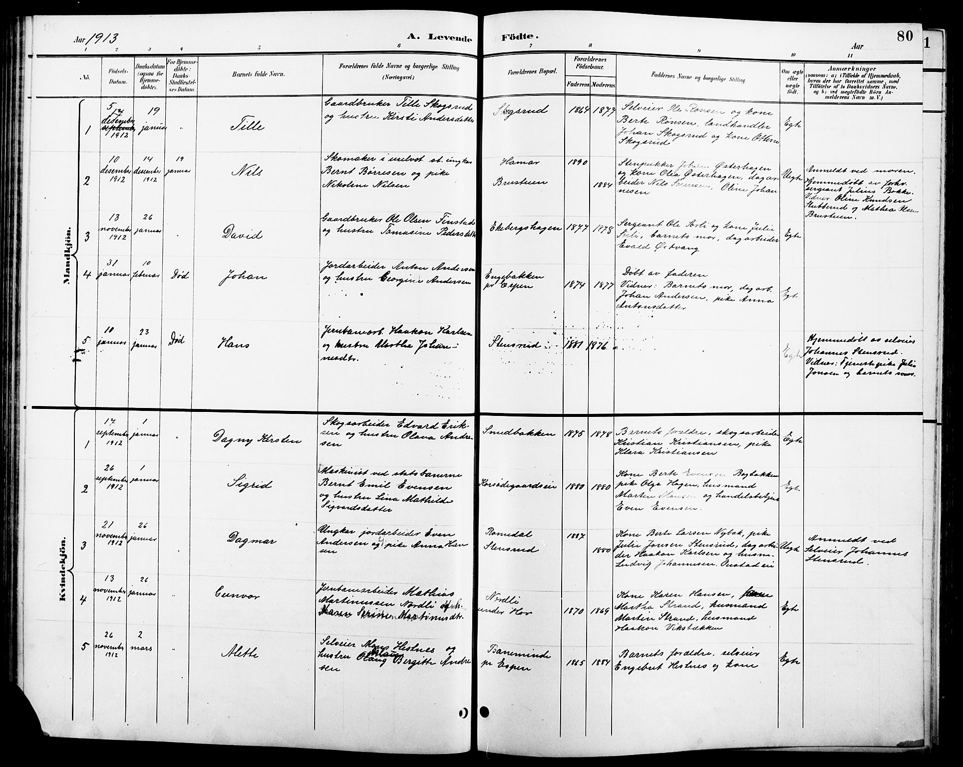 Stange prestekontor, SAH/PREST-002/L/L0011: Parish register (copy) no. 11, 1895-1917, p. 80