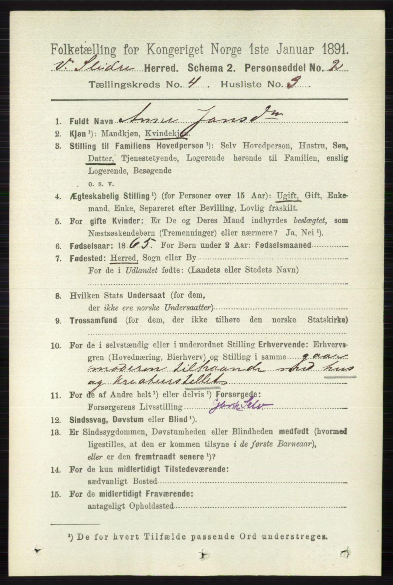 RA, 1891 census for 0543 Vestre Slidre, 1891, p. 1266