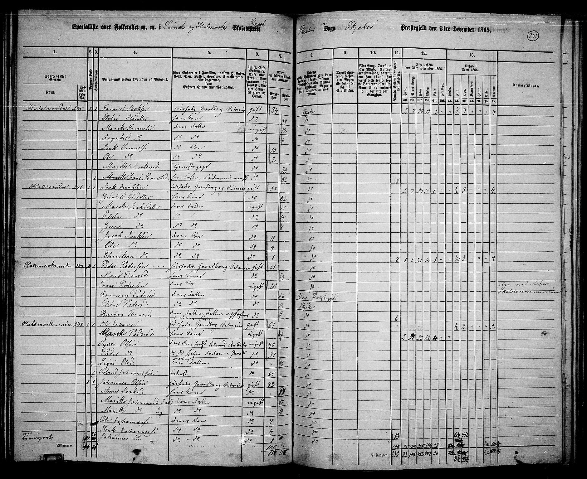 RA, 1865 census for Skjåk, 1865, p. 53