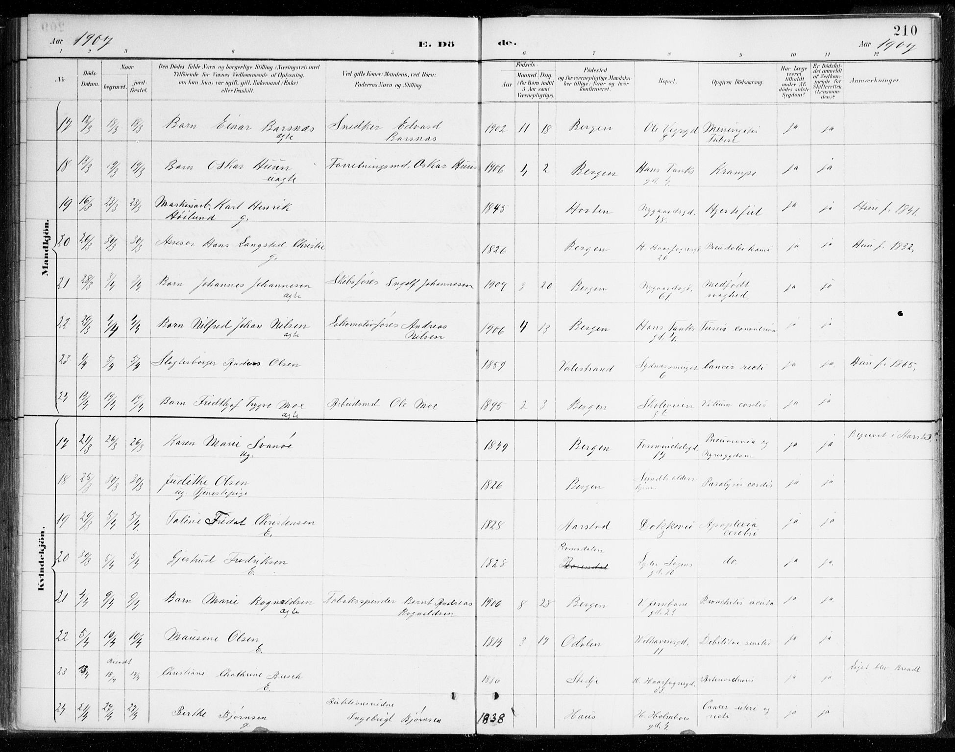 Johanneskirken sokneprestembete, AV/SAB-A-76001/H/Haa/L0019: Parish register (official) no. E 1, 1885-1915, p. 210