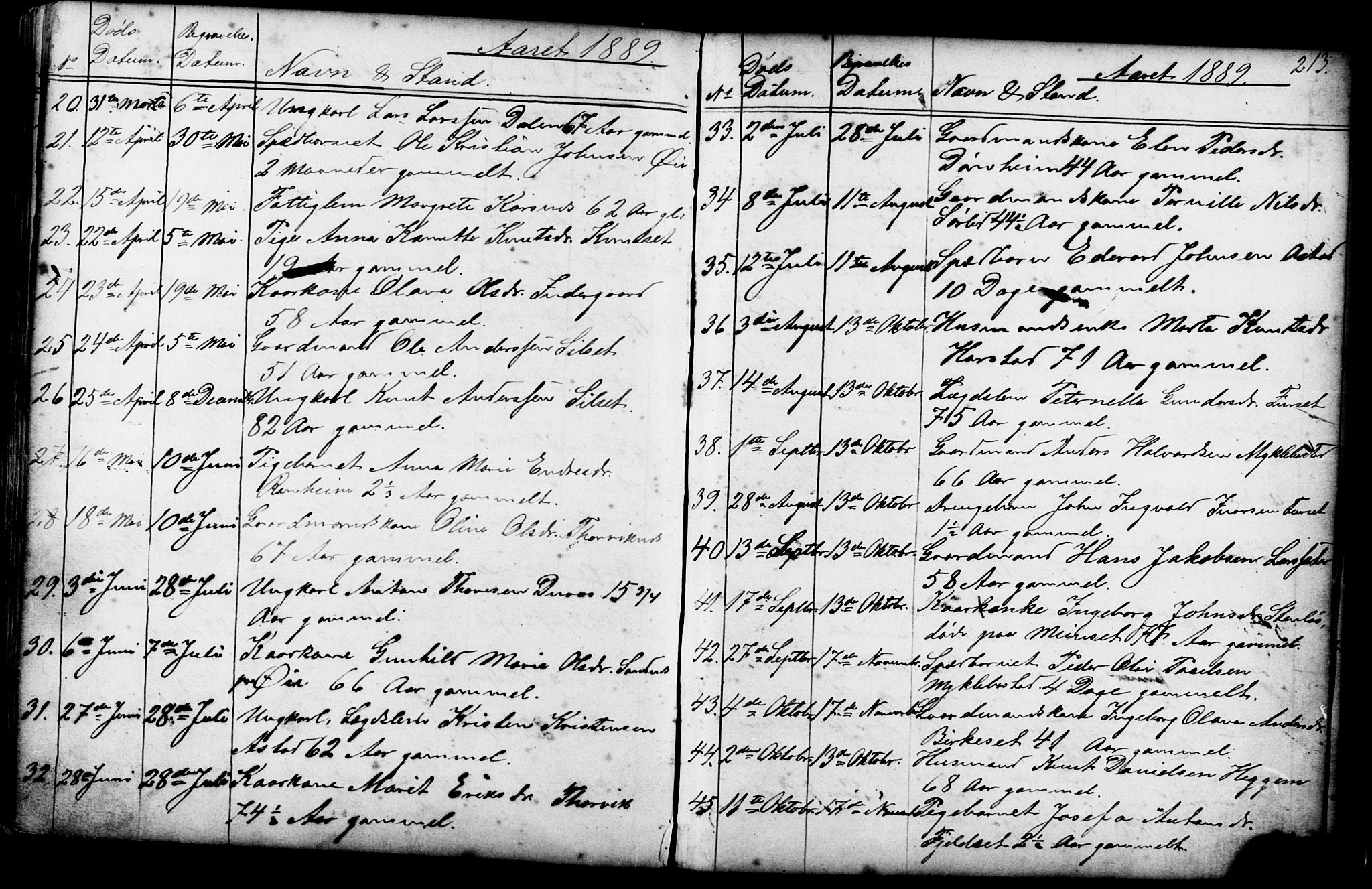 Ministerialprotokoller, klokkerbøker og fødselsregistre - Møre og Romsdal, AV/SAT-A-1454/584/L0969: Parish register (copy) no. 584C02, 1877-1911, p. 213