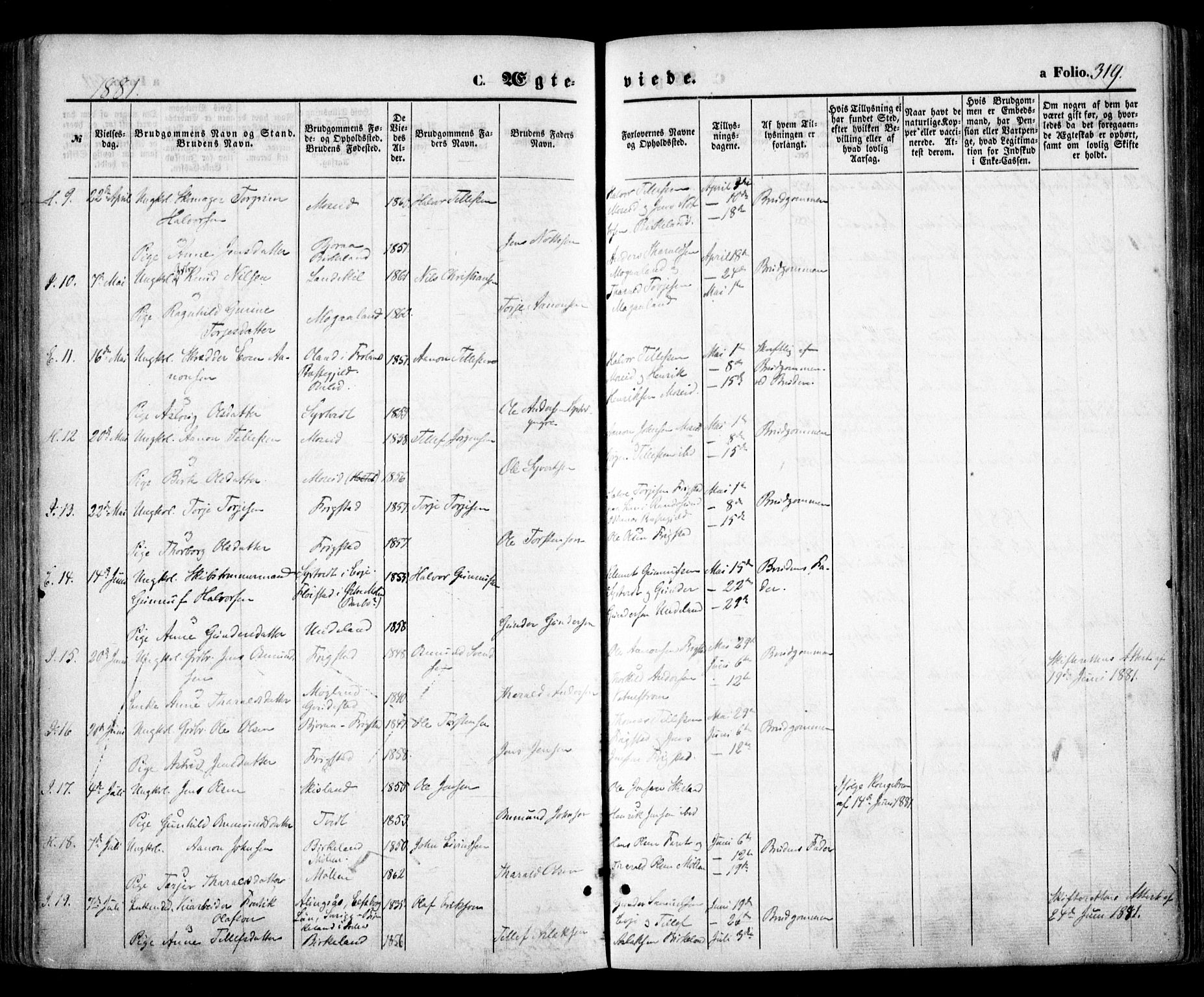 Evje sokneprestkontor, SAK/1111-0008/F/Fa/Faa/L0006: Parish register (official) no. A 6, 1866-1884, p. 319