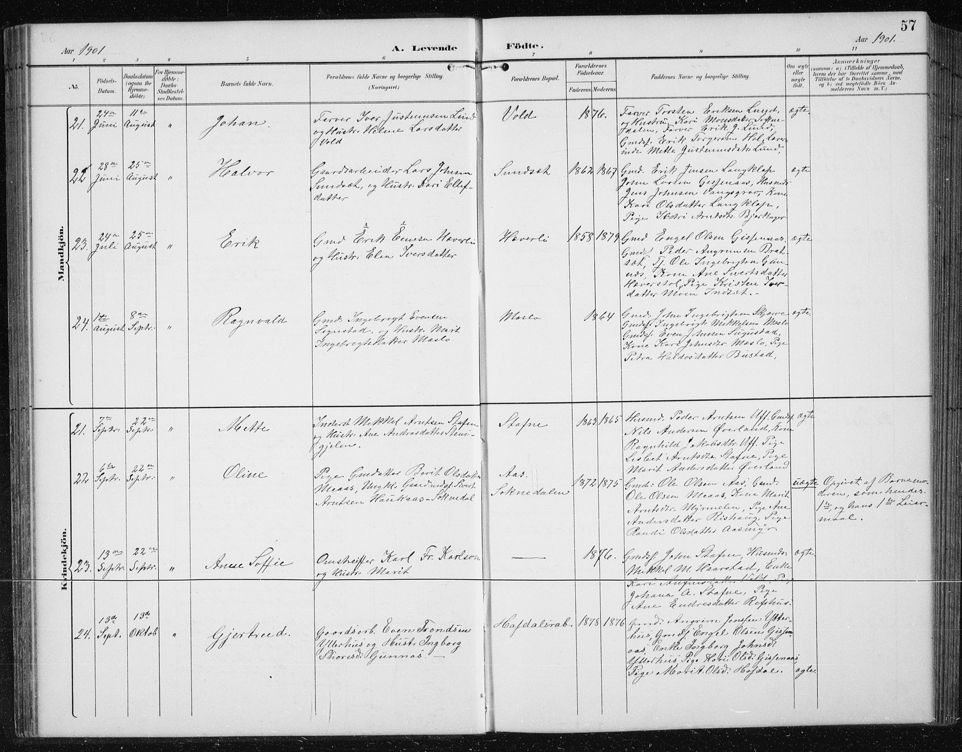 Ministerialprotokoller, klokkerbøker og fødselsregistre - Sør-Trøndelag, AV/SAT-A-1456/674/L0876: Parish register (copy) no. 674C03, 1892-1912, p. 57