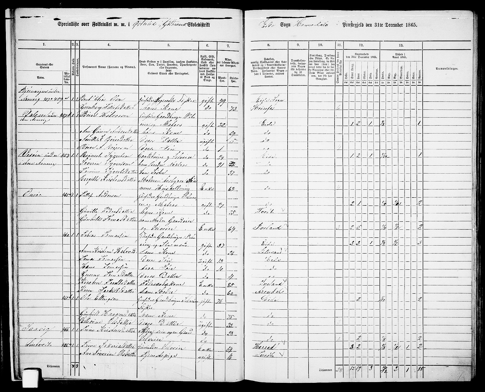 RA, 1865 census for Homedal, 1865, p. 19