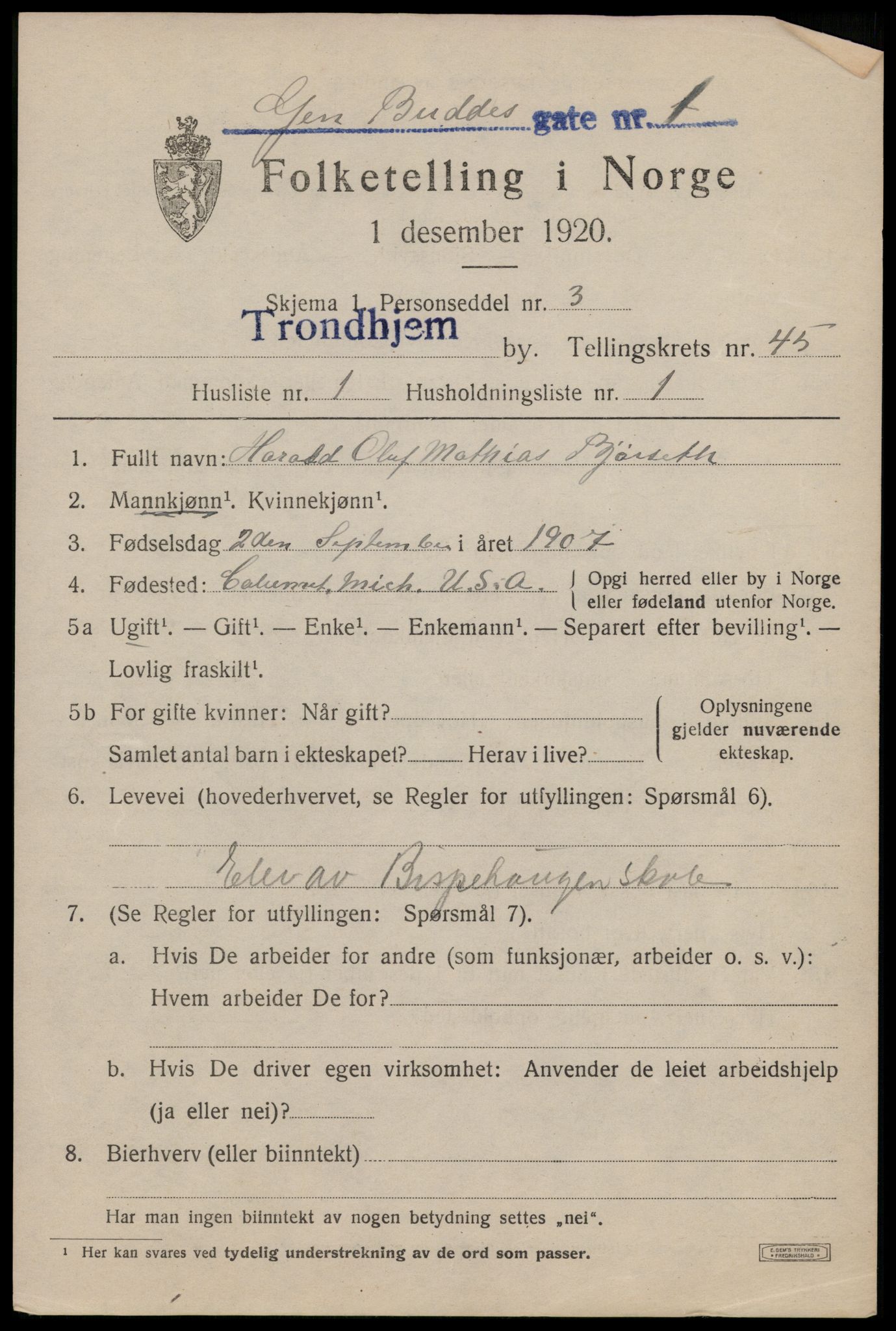 SAT, 1920 census for Trondheim, 1920, p. 96254