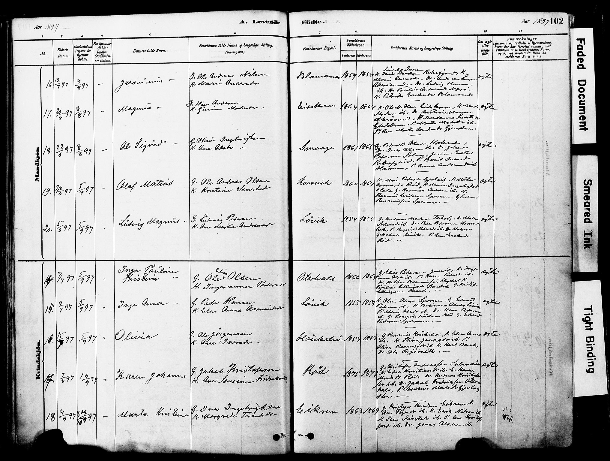 Ministerialprotokoller, klokkerbøker og fødselsregistre - Møre og Romsdal, AV/SAT-A-1454/560/L0721: Parish register (official) no. 560A05, 1878-1917, p. 102