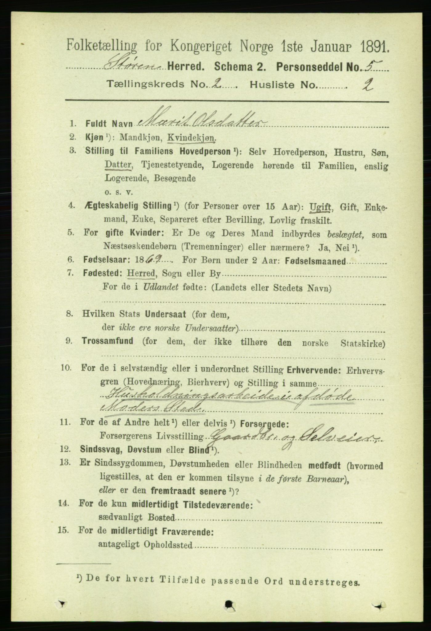 RA, 1891 census for 1648 Støren, 1891, p. 423