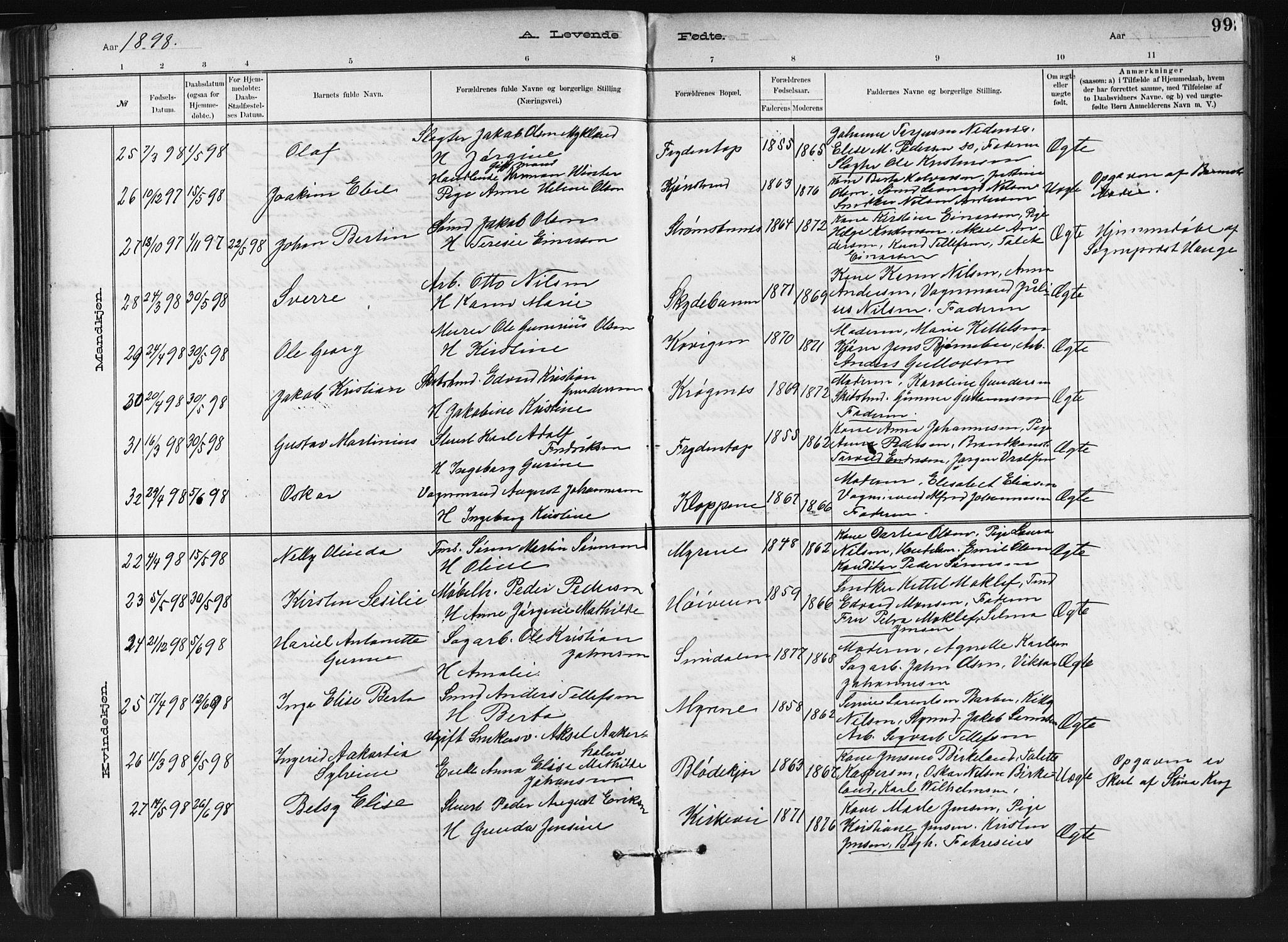 Barbu sokneprestkontor, AV/SAK-1111-0003/F/Fb/L0002: Parish register (copy) no. B 2, 1890-1922, p. 99