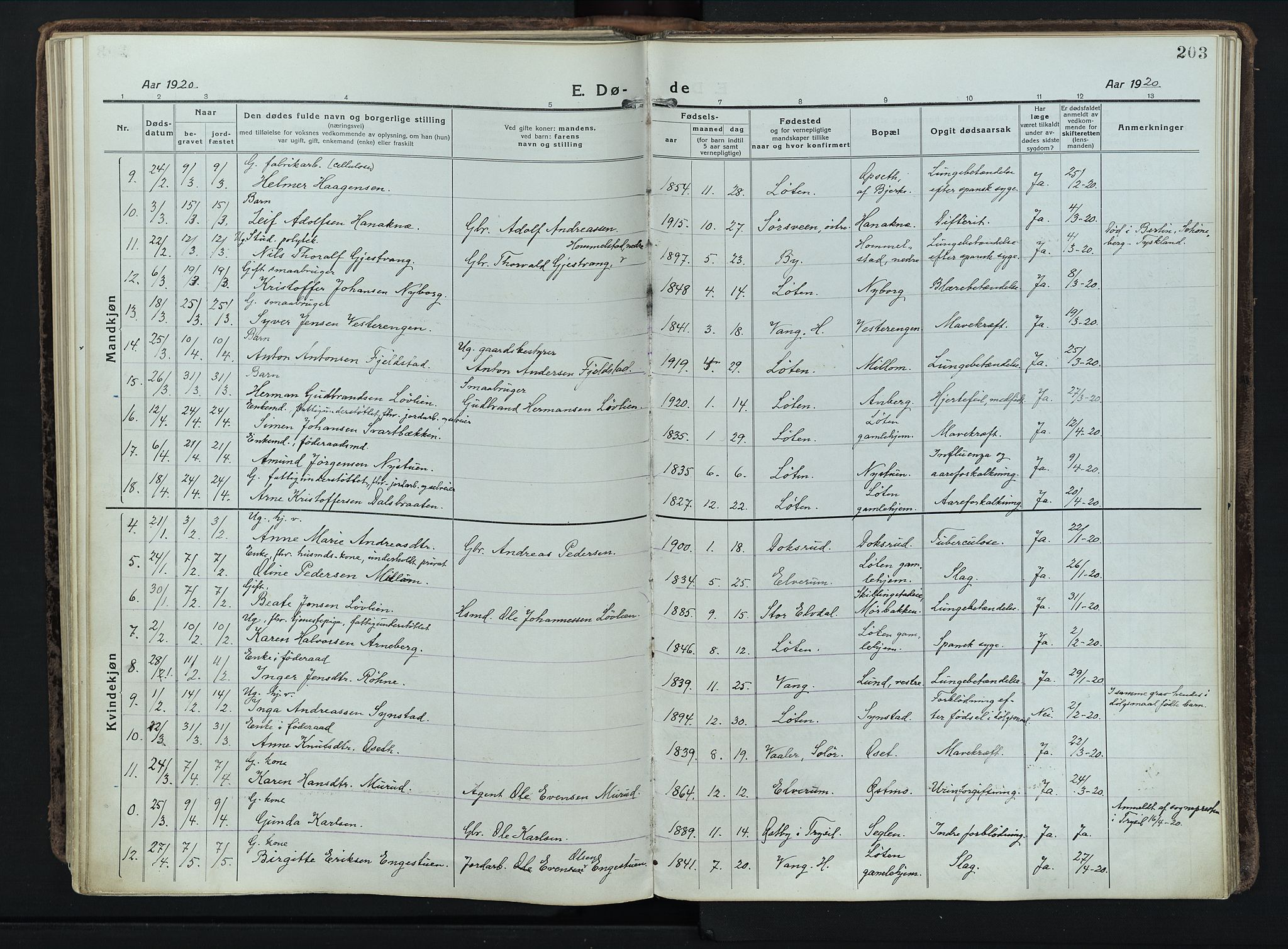 Løten prestekontor, AV/SAH-PREST-022/K/Ka/L0012: Parish register (official) no. 12, 1918-1926, p. 203