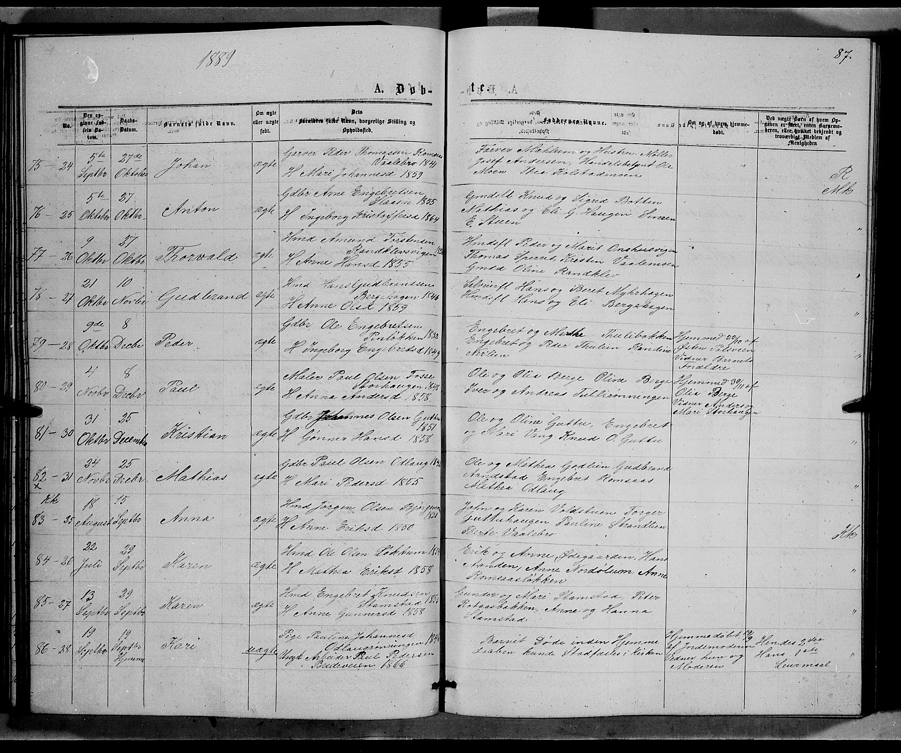 Ringebu prestekontor, SAH/PREST-082/H/Ha/Hab/L0006: Parish register (copy) no. 6, 1880-1898, p. 87