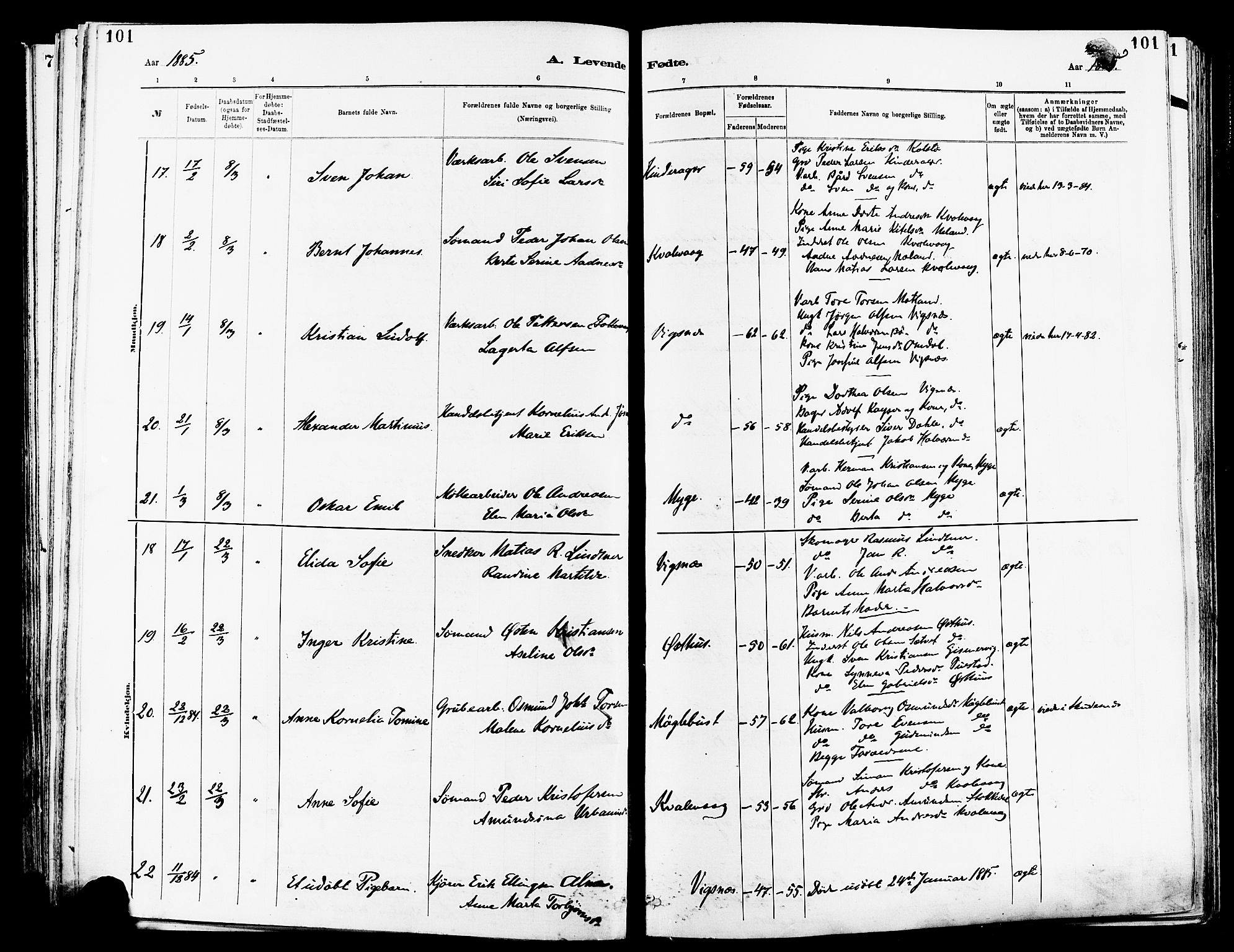 Avaldsnes sokneprestkontor, AV/SAST-A -101851/H/Ha/Haa/L0014: Parish register (official) no. A 14, 1880-1889, p. 101