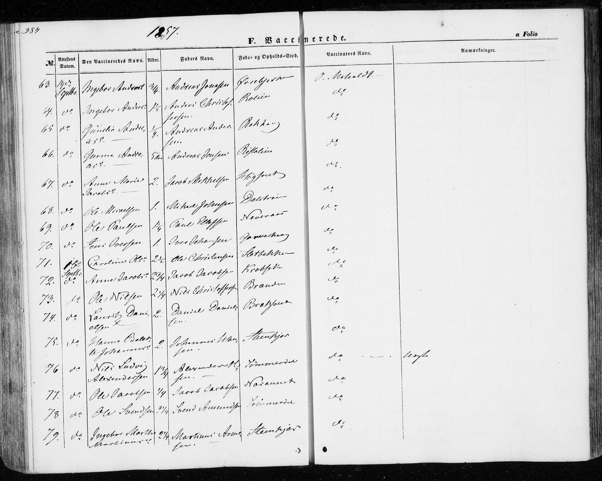 Ministerialprotokoller, klokkerbøker og fødselsregistre - Nord-Trøndelag, AV/SAT-A-1458/701/L0008: Parish register (official) no. 701A08 /1, 1854-1863, p. 384