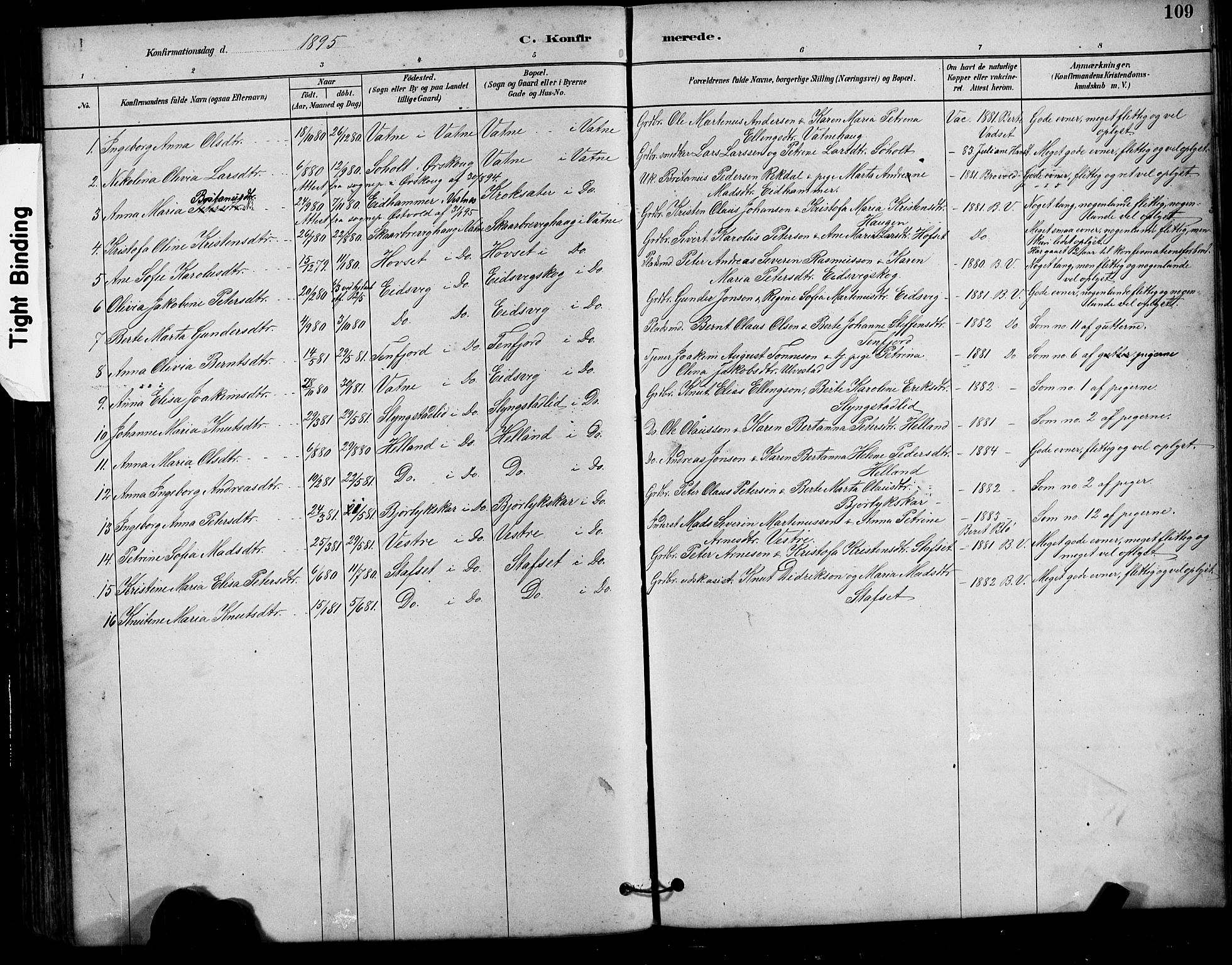 Ministerialprotokoller, klokkerbøker og fødselsregistre - Møre og Romsdal, AV/SAT-A-1454/525/L0376: Parish register (copy) no. 525C02, 1880-1902, p. 109