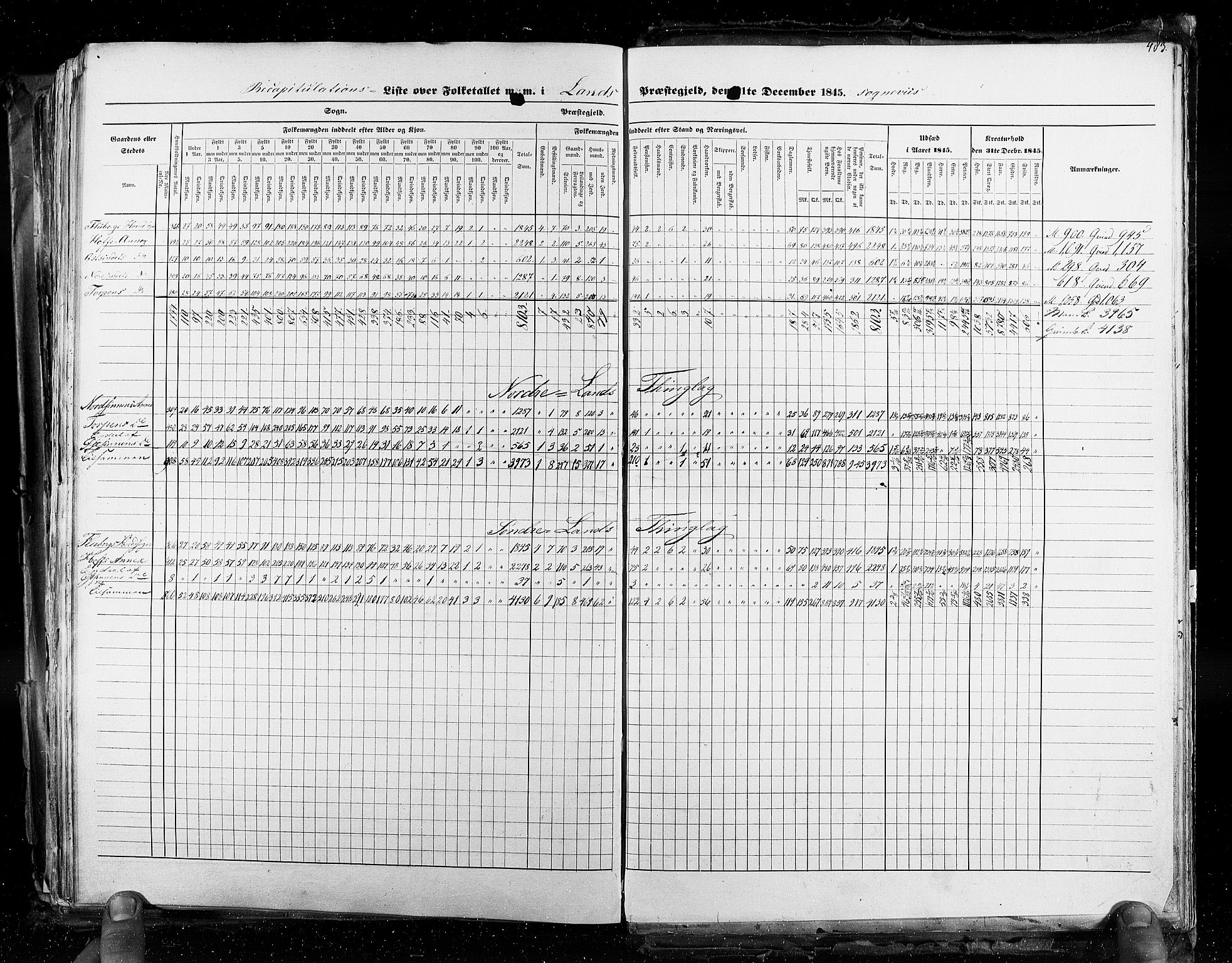 RA, Census 1845, vol. 3: Hedemarken amt og Kristians amt, 1845, p. 483