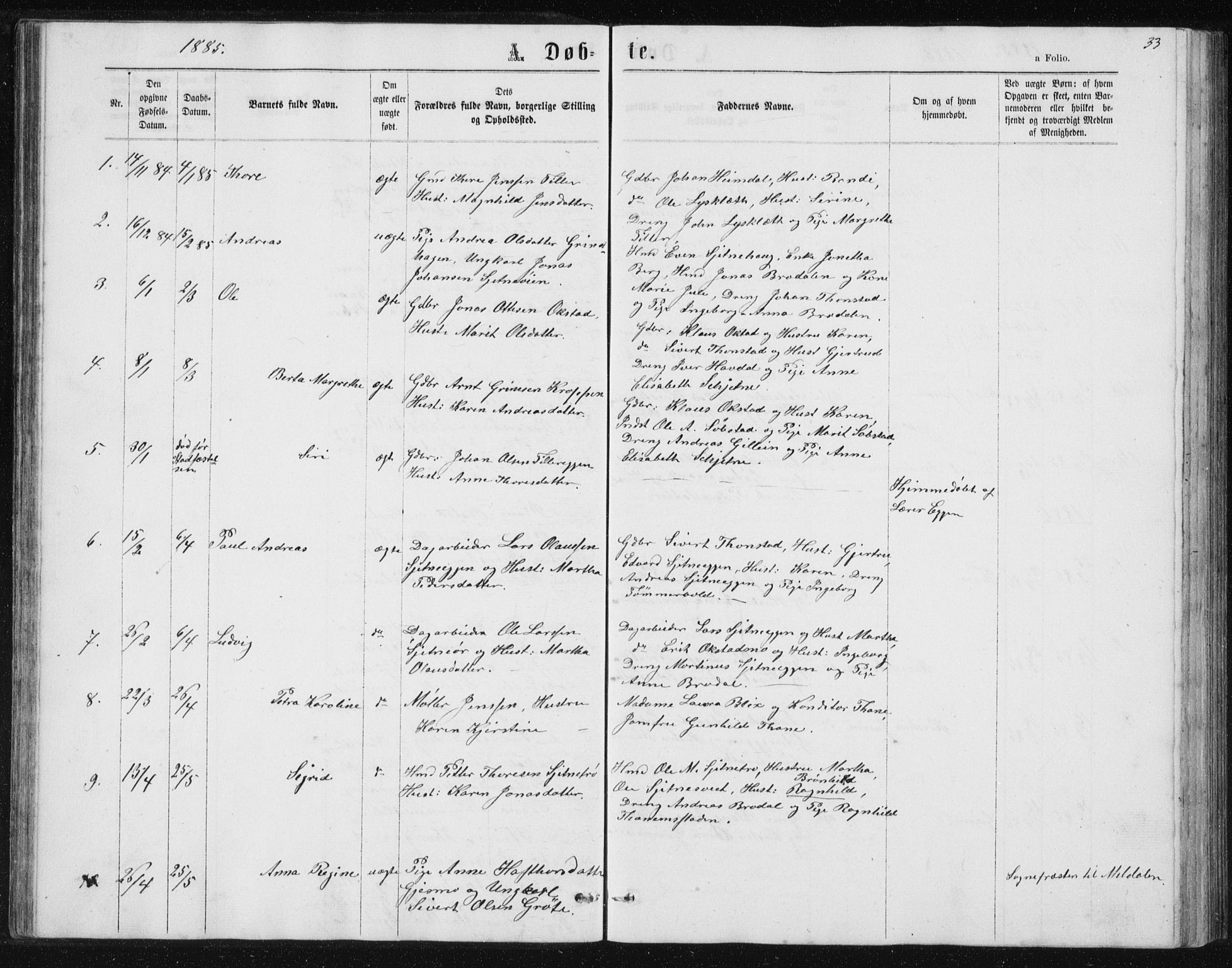 Ministerialprotokoller, klokkerbøker og fødselsregistre - Sør-Trøndelag, SAT/A-1456/621/L0459: Parish register (copy) no. 621C02, 1866-1895, p. 33