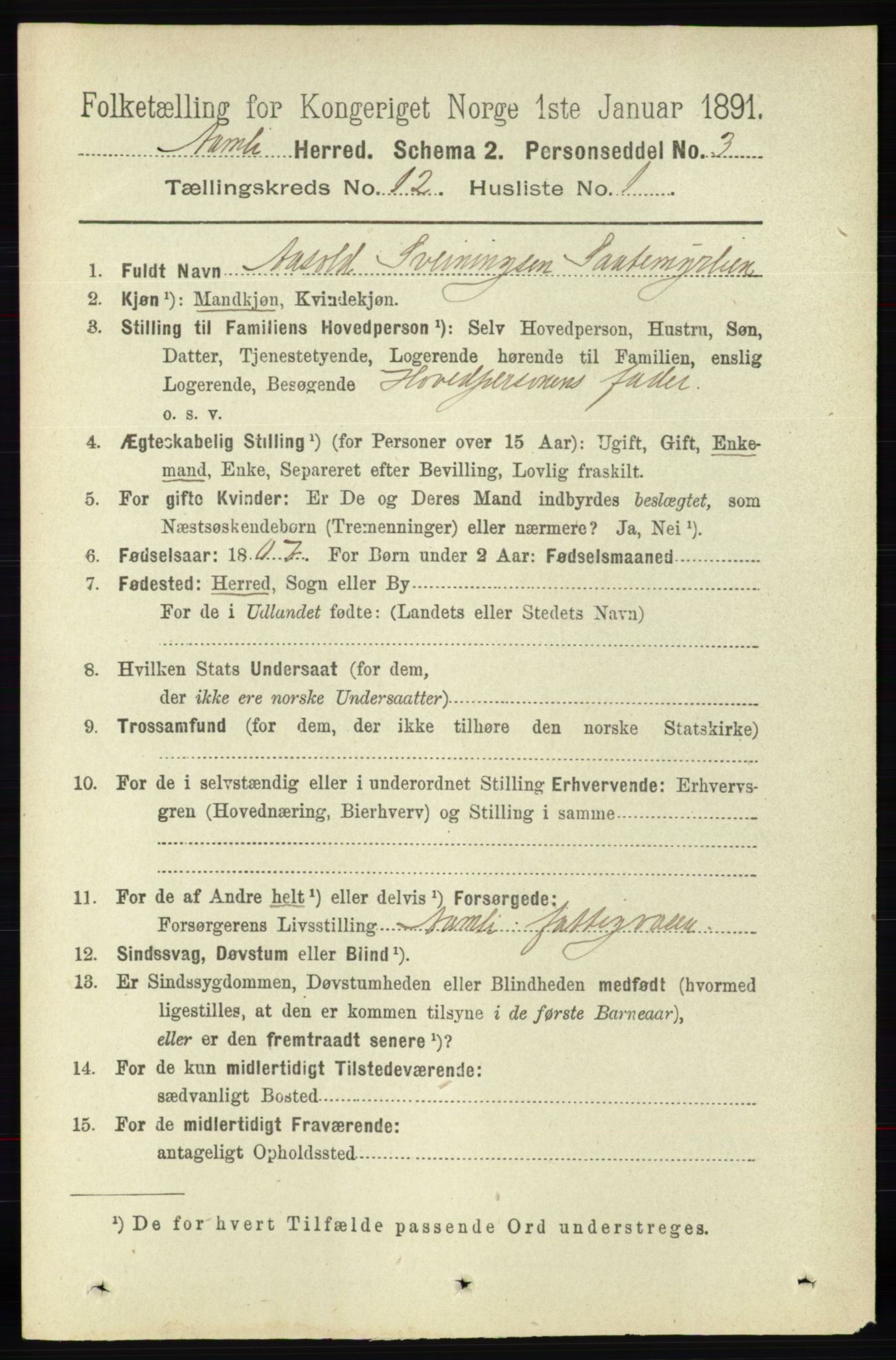 RA, 1891 census for 0929 Åmli, 1891, p. 2038