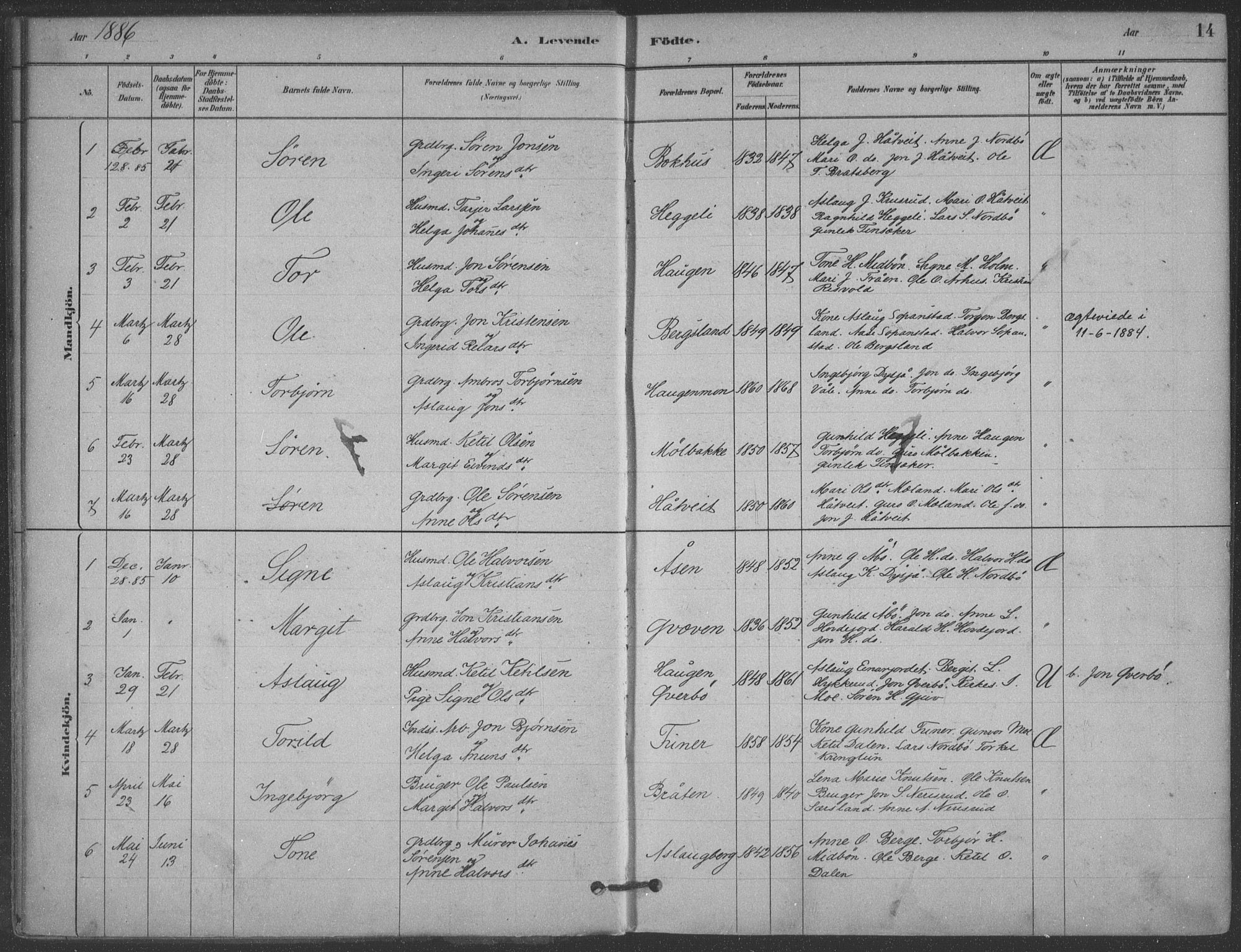 Hjartdal kirkebøker, SAKO/A-270/F/Fa/L0010: Parish register (official) no. I 10, 1880-1929, p. 14