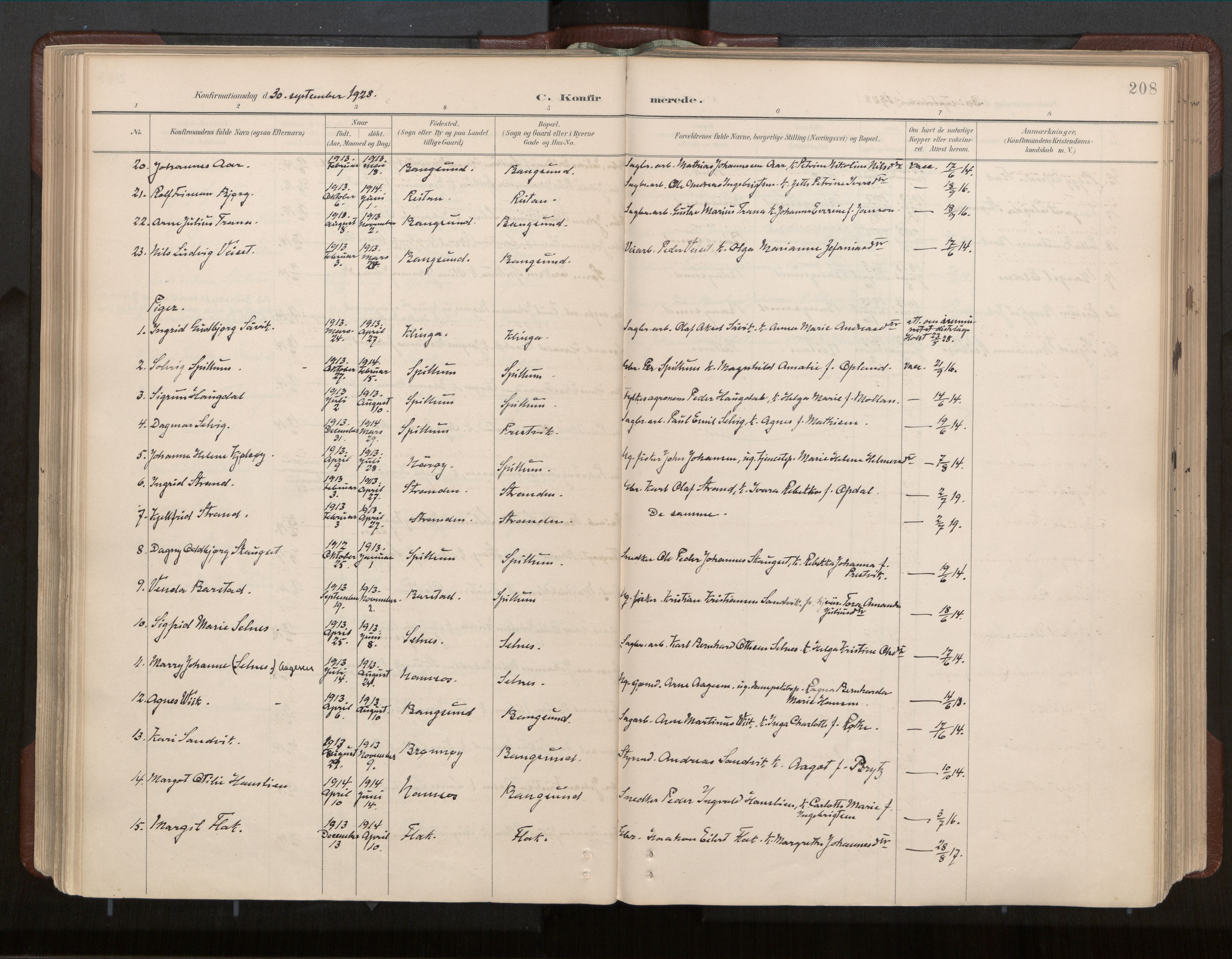 Ministerialprotokoller, klokkerbøker og fødselsregistre - Nord-Trøndelag, SAT/A-1458/770/L0589: Parish register (official) no. 770A03, 1887-1929, p. 208