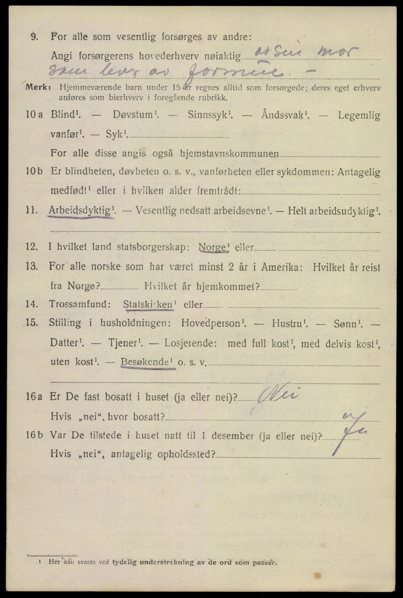 SAKO, 1920 census for Horten, 1920, p. 16262