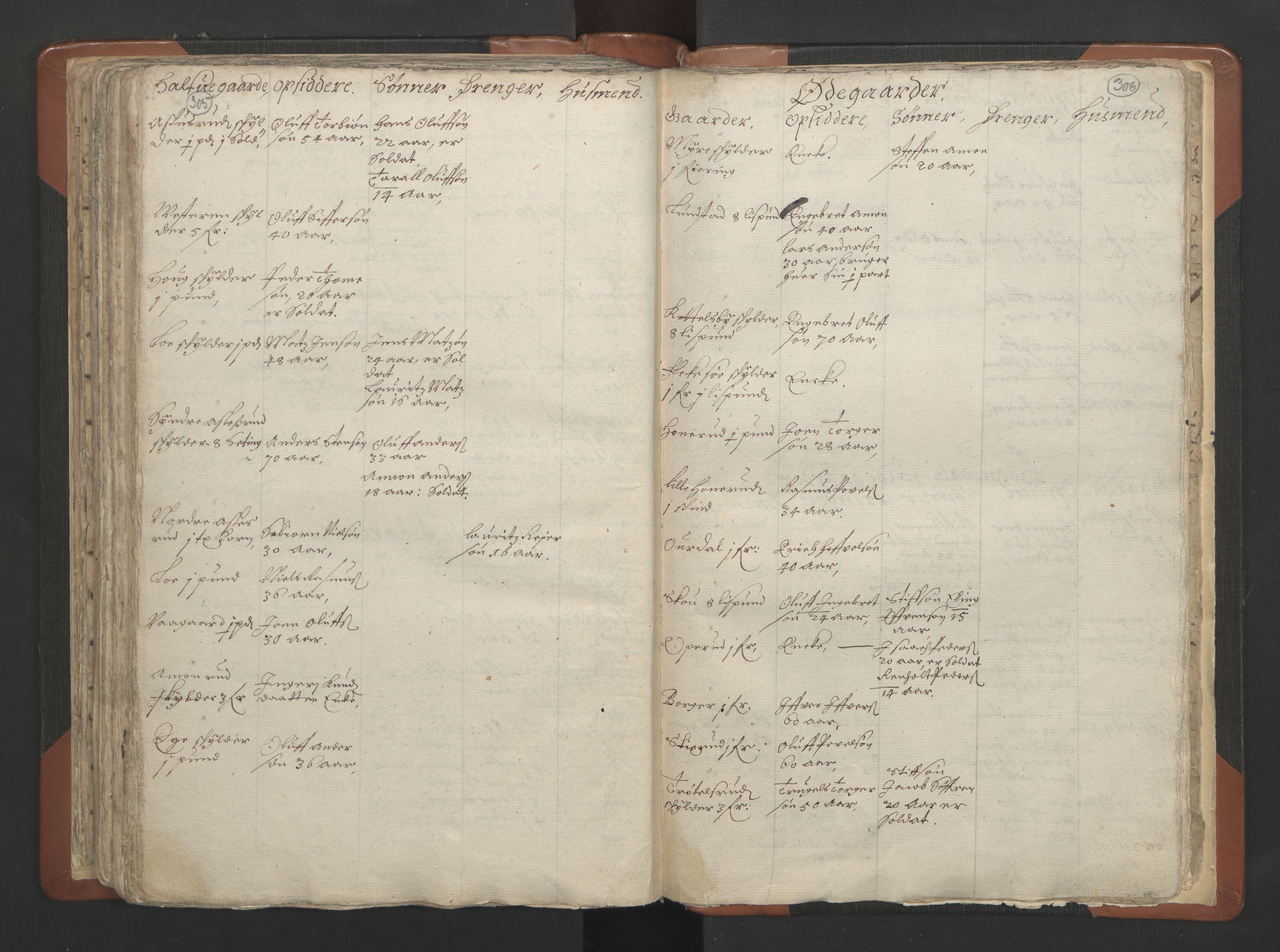 RA, Vicar's Census 1664-1666, no. 7: Hadeland deanery, 1664-1666, p. 305-306