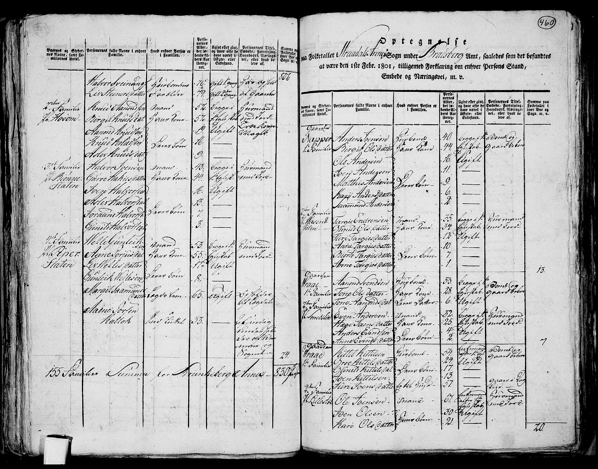 RA, 1801 census for 0829P Kviteseid, 1801, p. 459b-460a