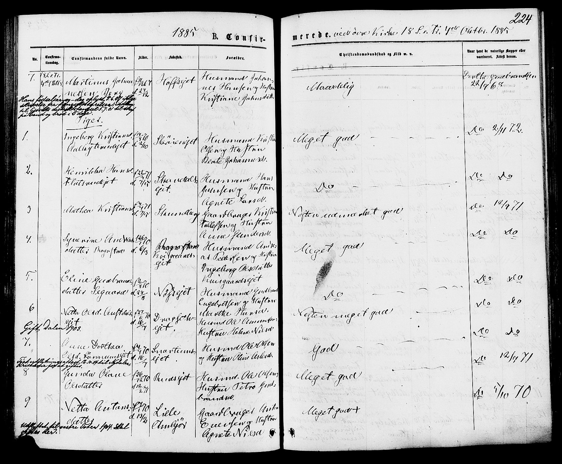 Biri prestekontor, SAH/PREST-096/H/Ha/Haa/L0006: Parish register (official) no. 6, 1877-1886, p. 224