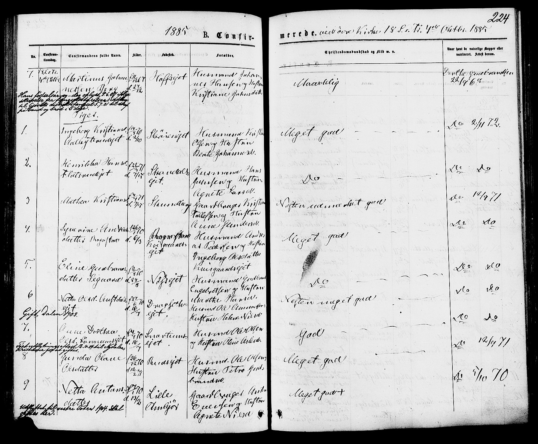 Biri prestekontor, AV/SAH-PREST-096/H/Ha/Haa/L0006: Parish register (official) no. 6, 1877-1886, p. 224