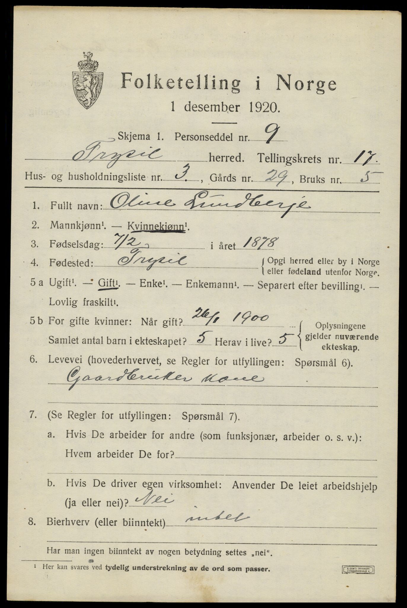 SAH, 1920 census for Trysil, 1920, p. 10217
