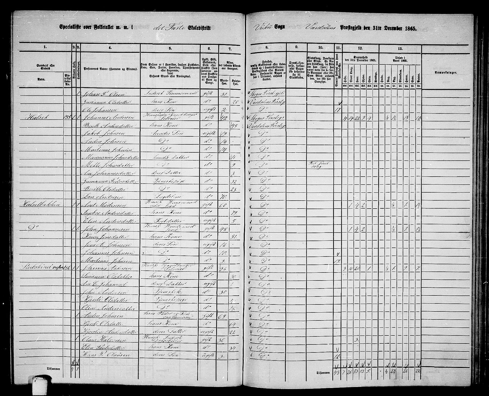 RA, 1865 census for Verdal, 1865, p. 197