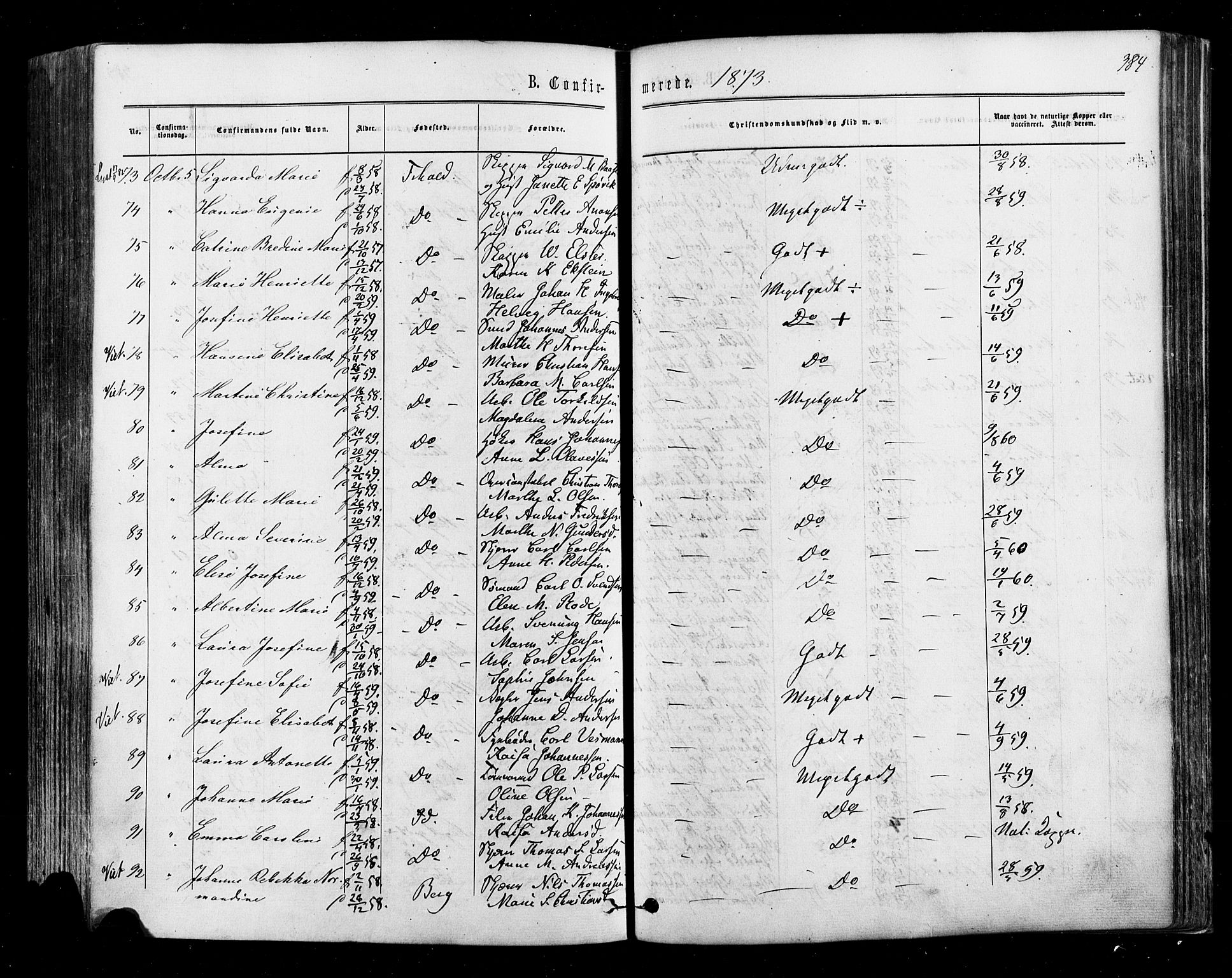 Halden prestekontor Kirkebøker, AV/SAO-A-10909/F/Fa/L0009: Parish register (official) no. I 9, 1866-1877, p. 384